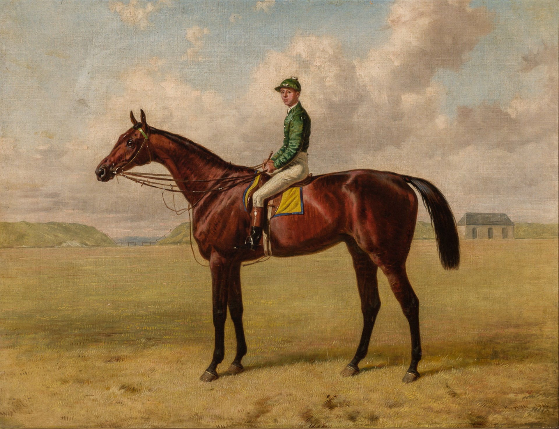 Suburban with Tom Challoner Up by Harry Hall