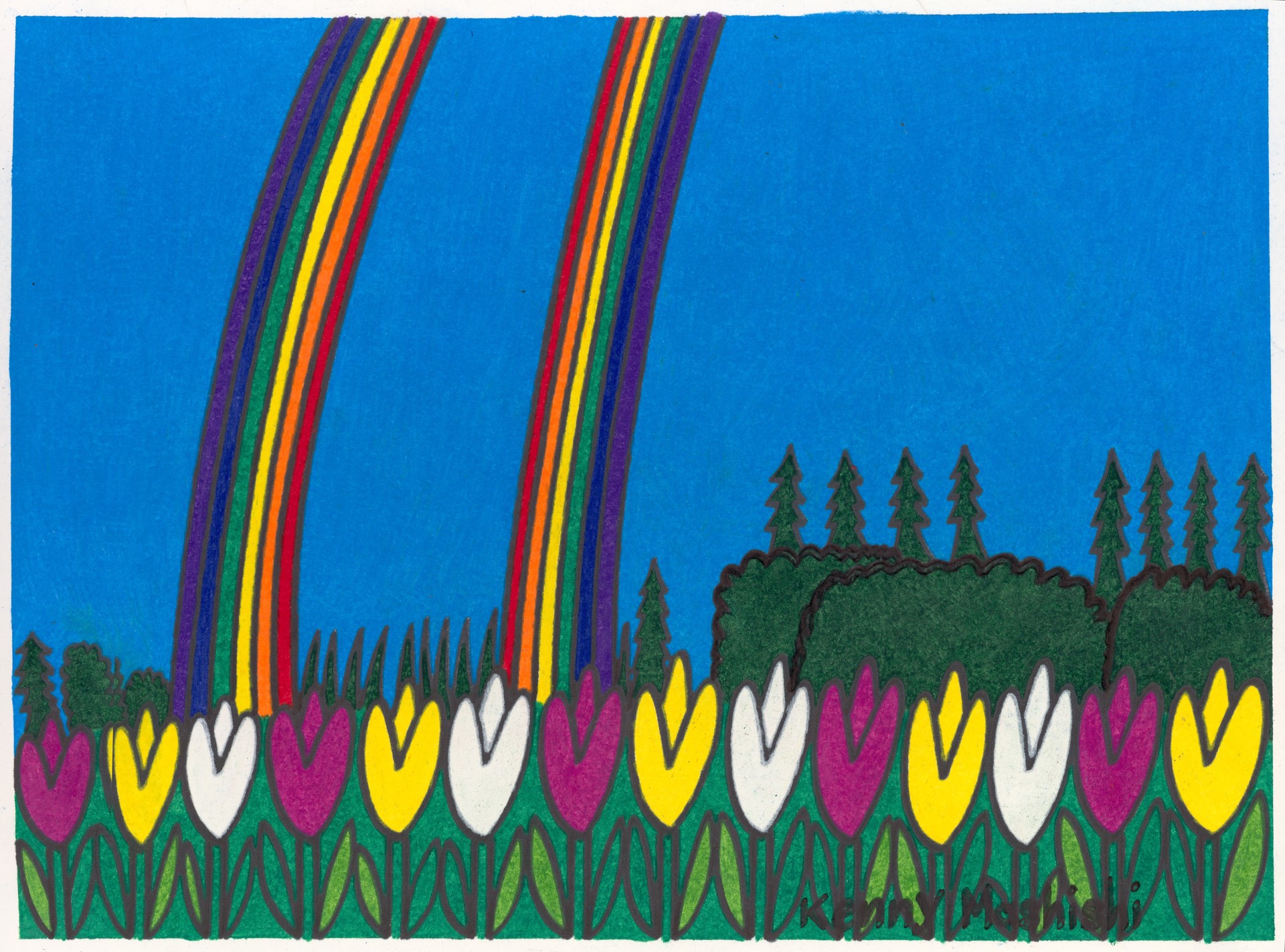 Double Rainbow by Kenny Mashishi