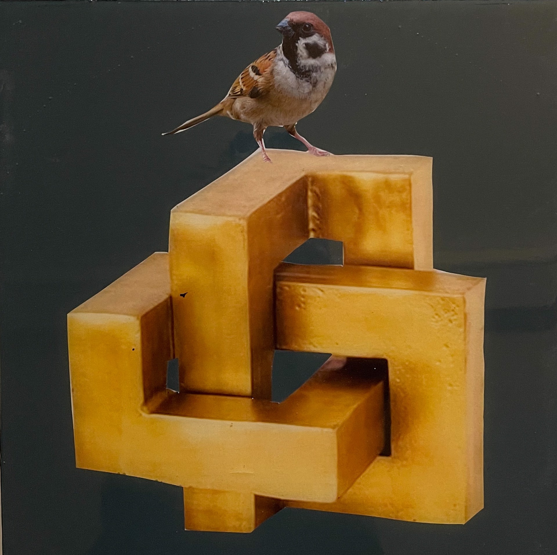 Bird I by Anke Schofield