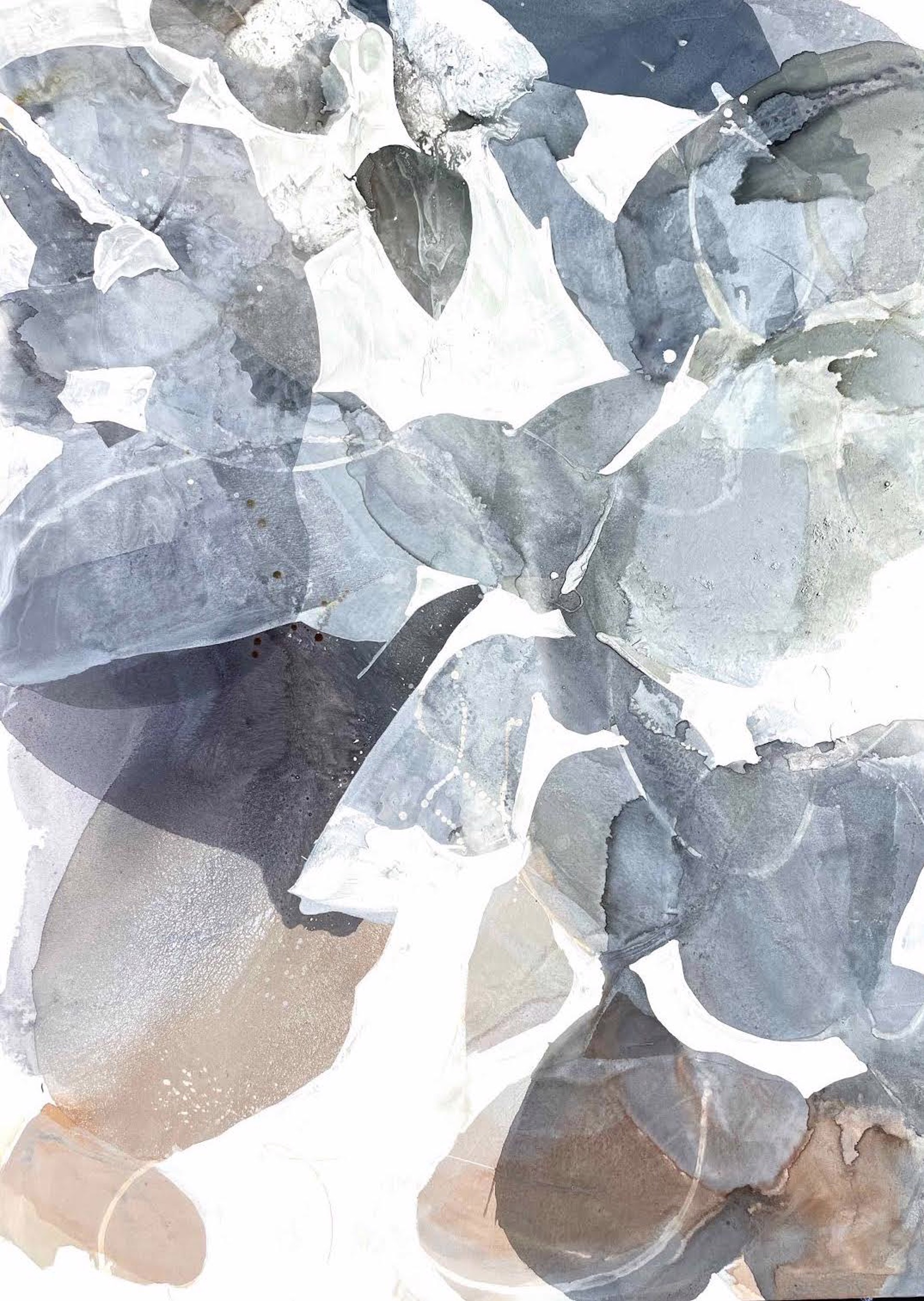 Shade Garden by Liz Barber