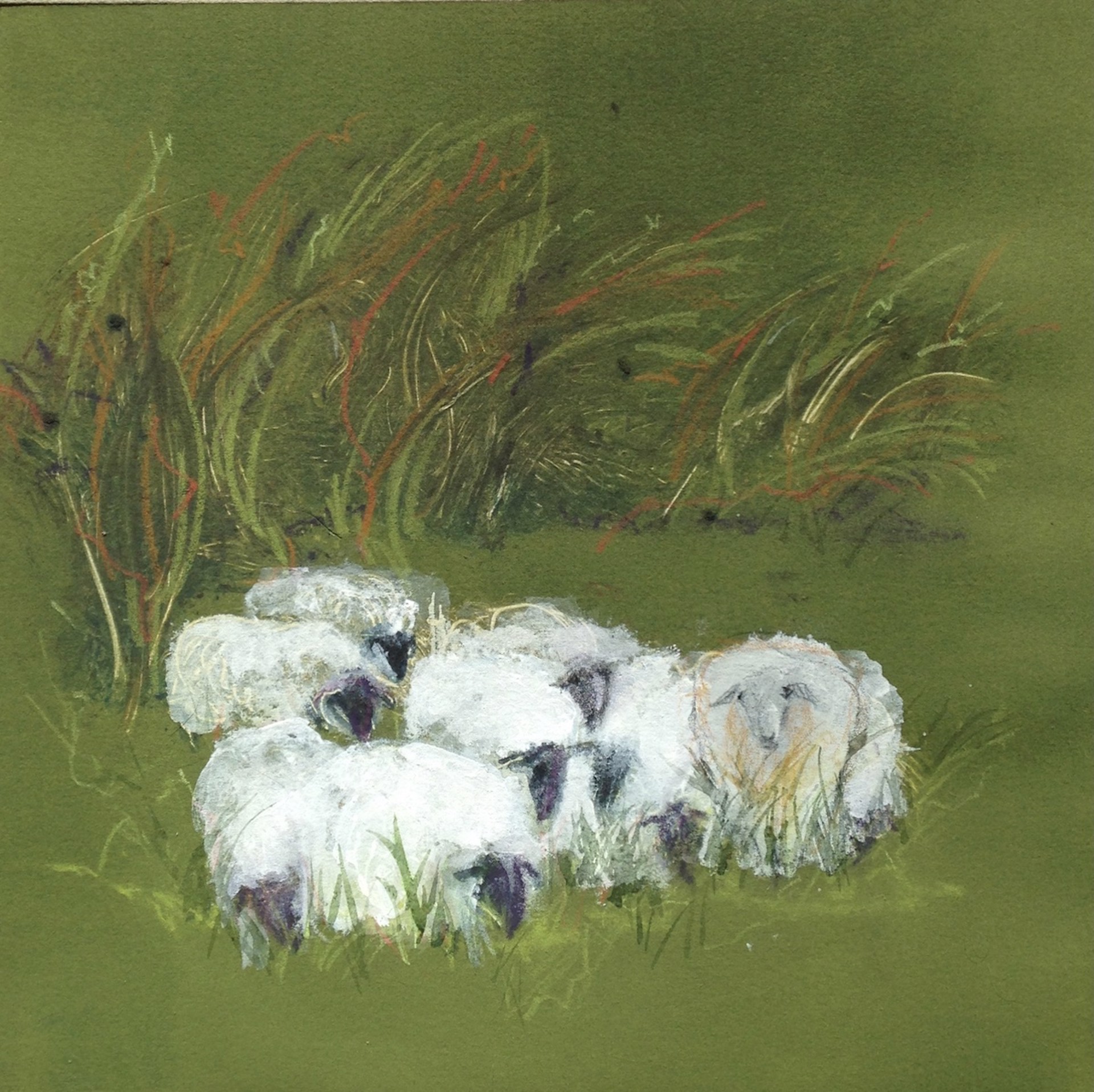 Woolly Grazers by Mary FitzGerald Beach
