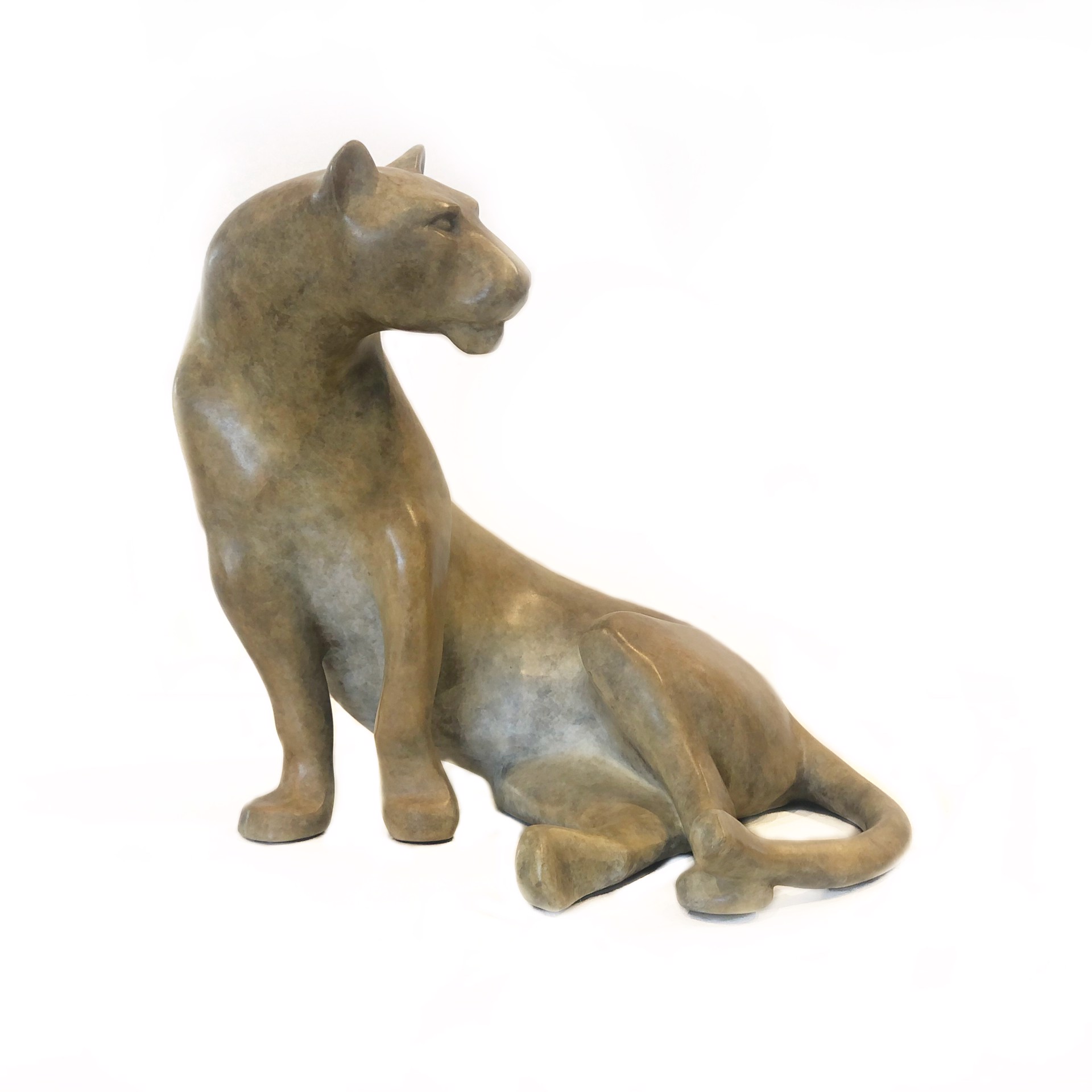 Lioness by Kristine Taylor