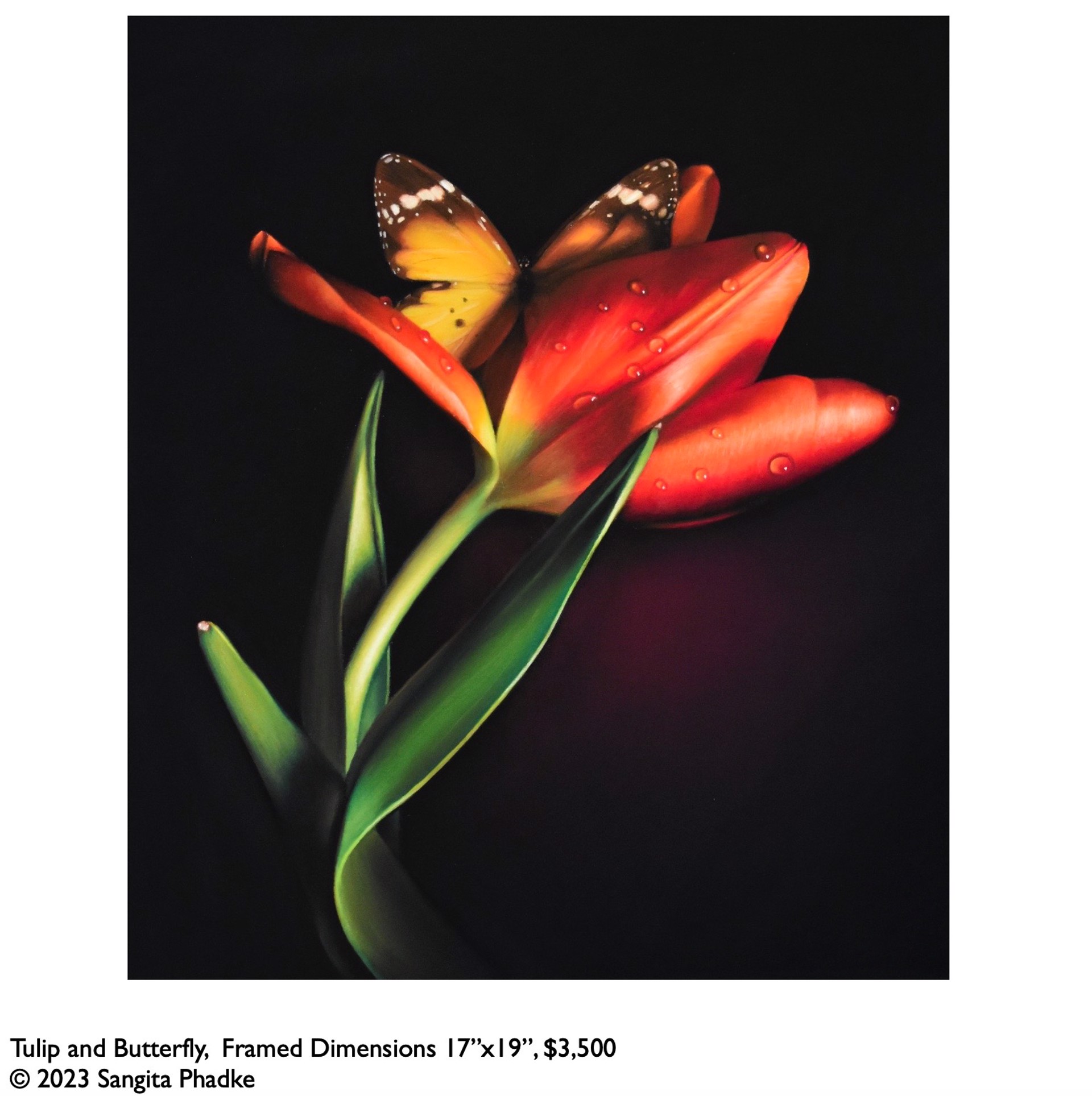 Tulip and Butterfly (19" x 17" Framed Dimensions) by Sangita Phadke
