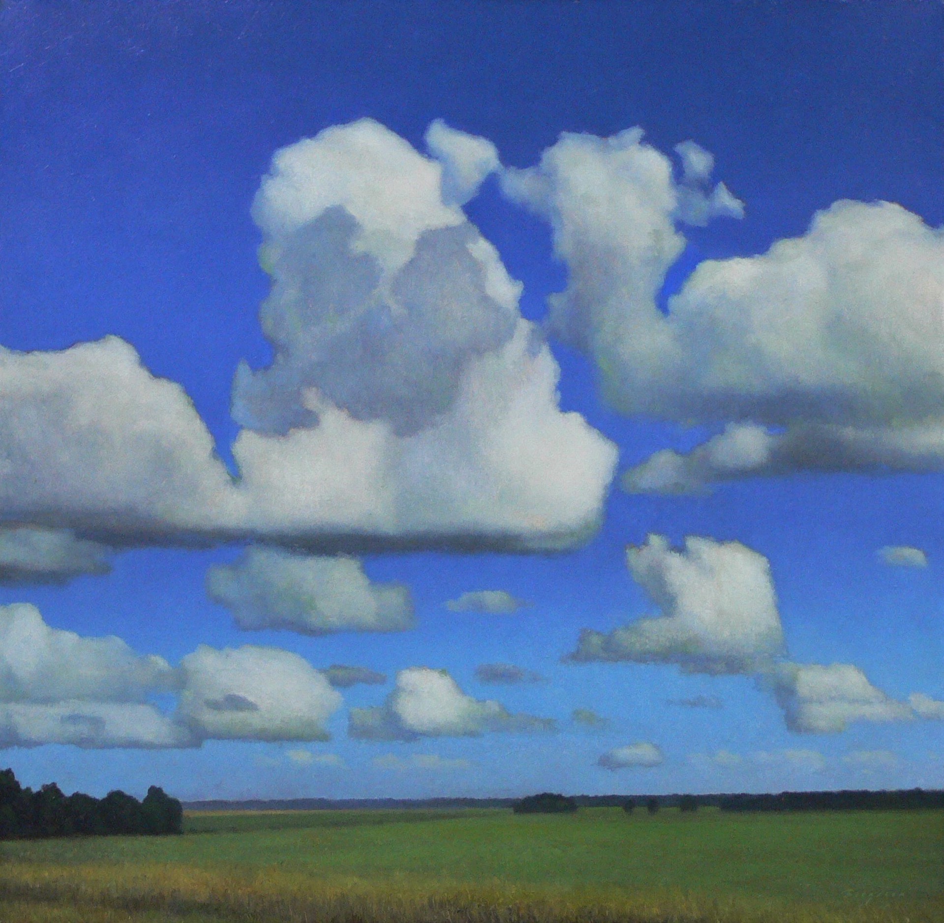 Cloud Field by Peter Bergeron
