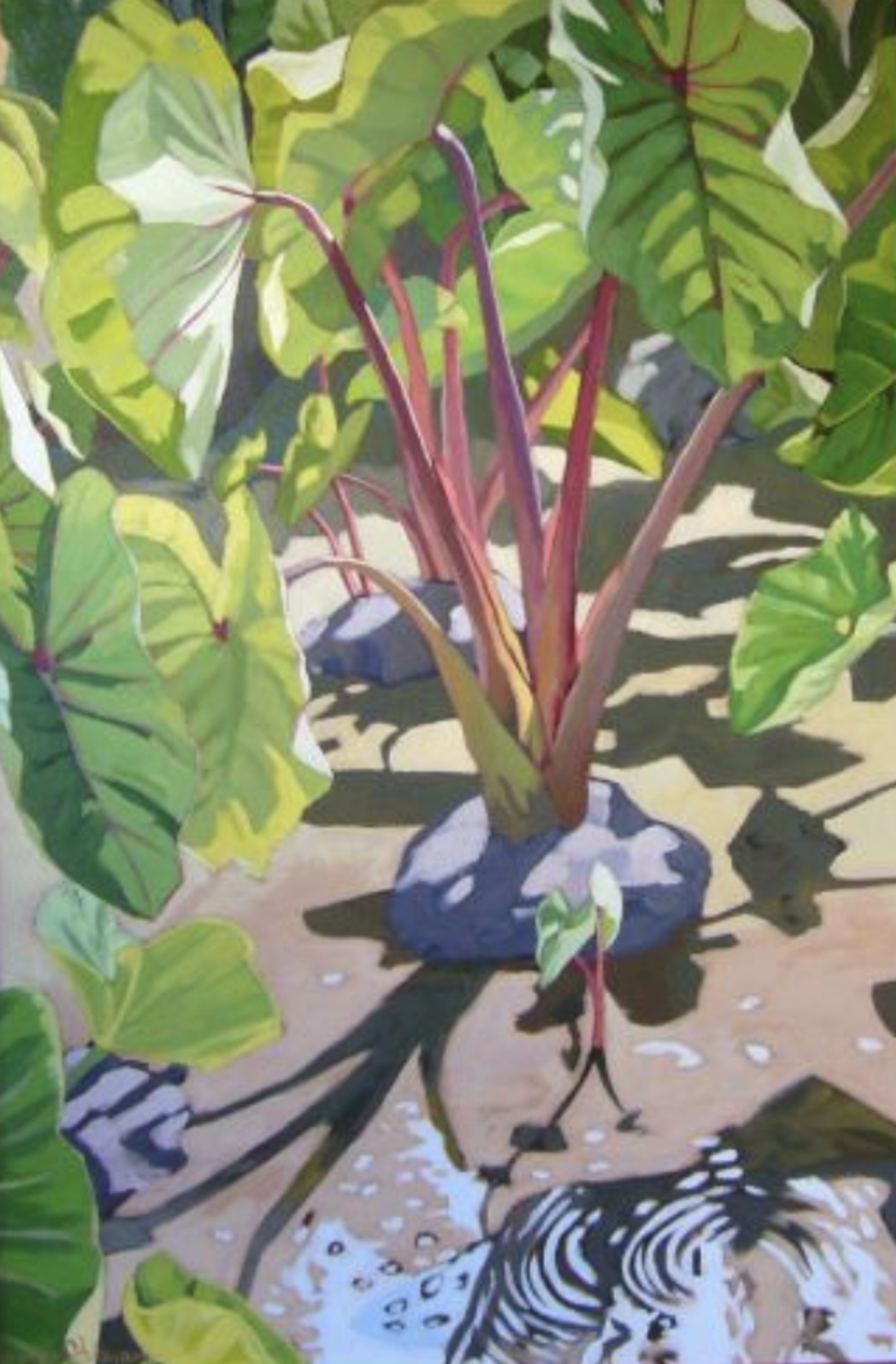 Water Pond Lo’i by Brenda Cablayan