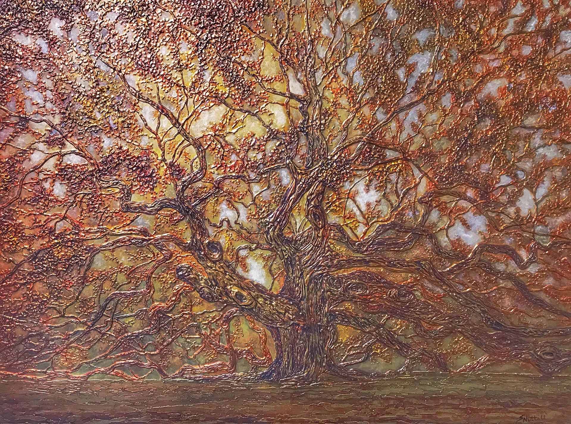 Angel Oak by Susan Nuttall