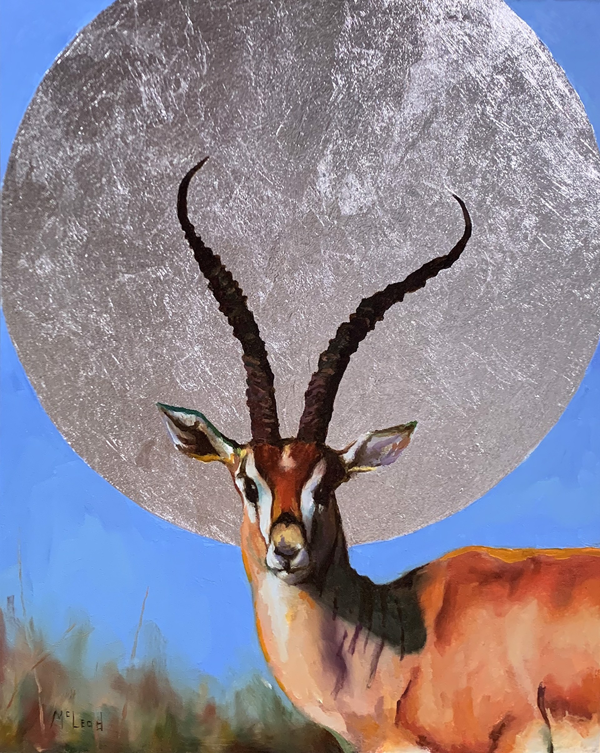 Gazelle by John McLeod