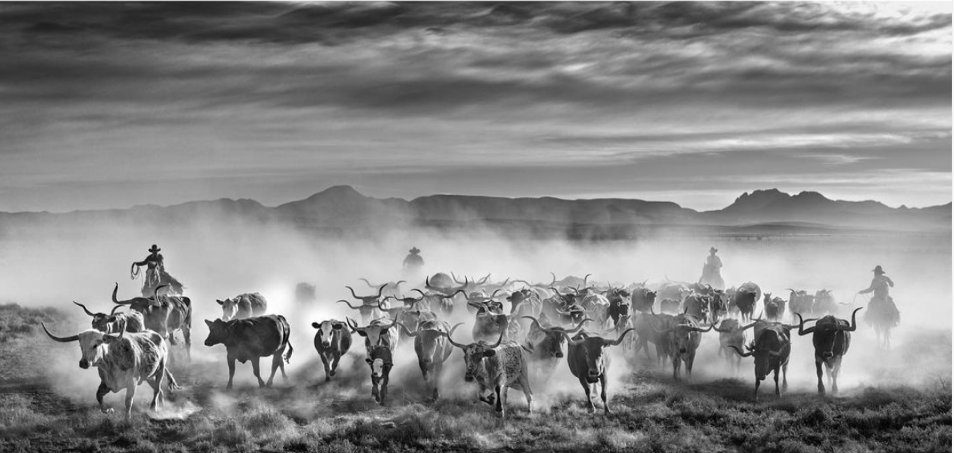 The Thundering Herd by David Yarrow