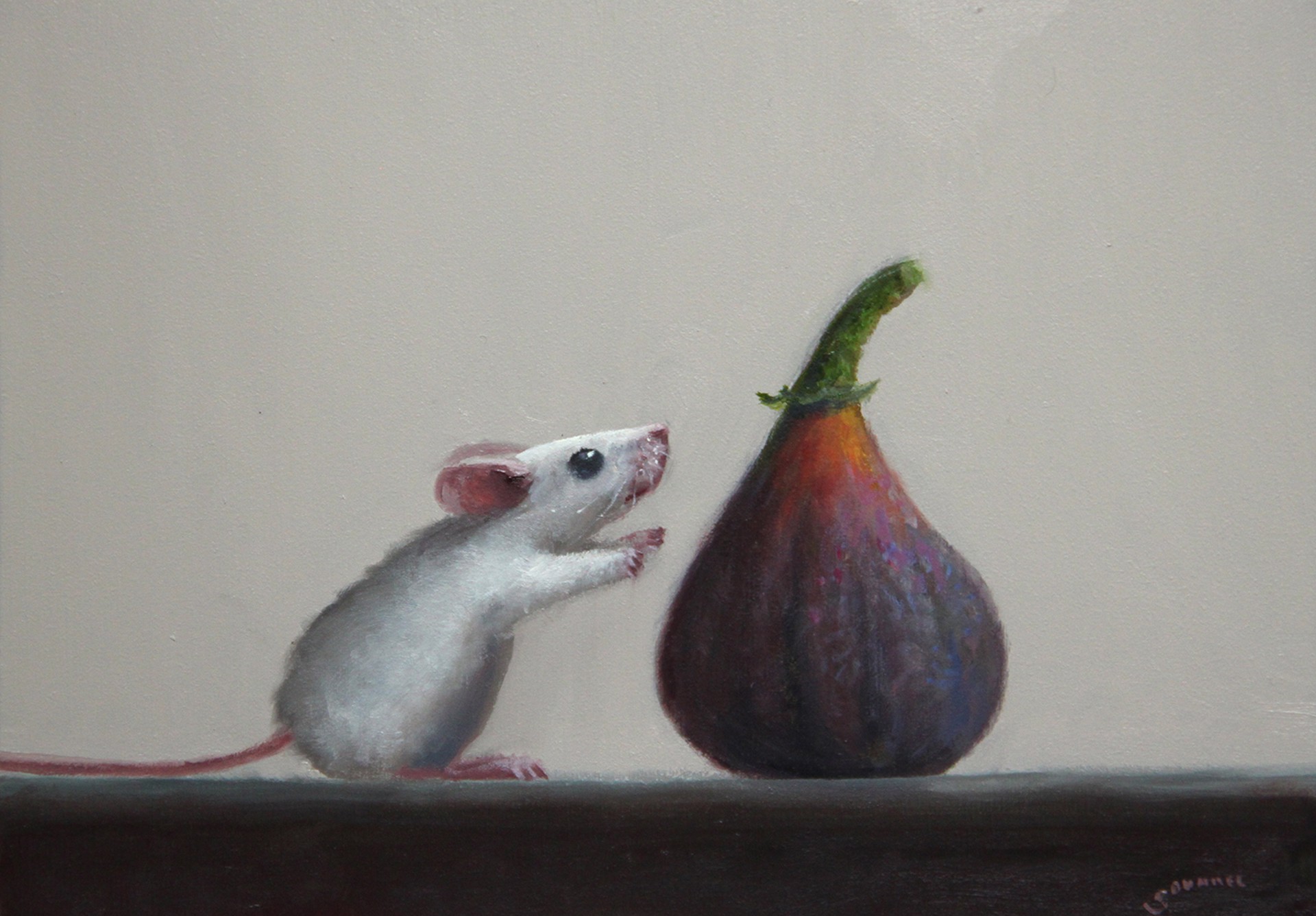 Fig Diet by Stuart Dunkel