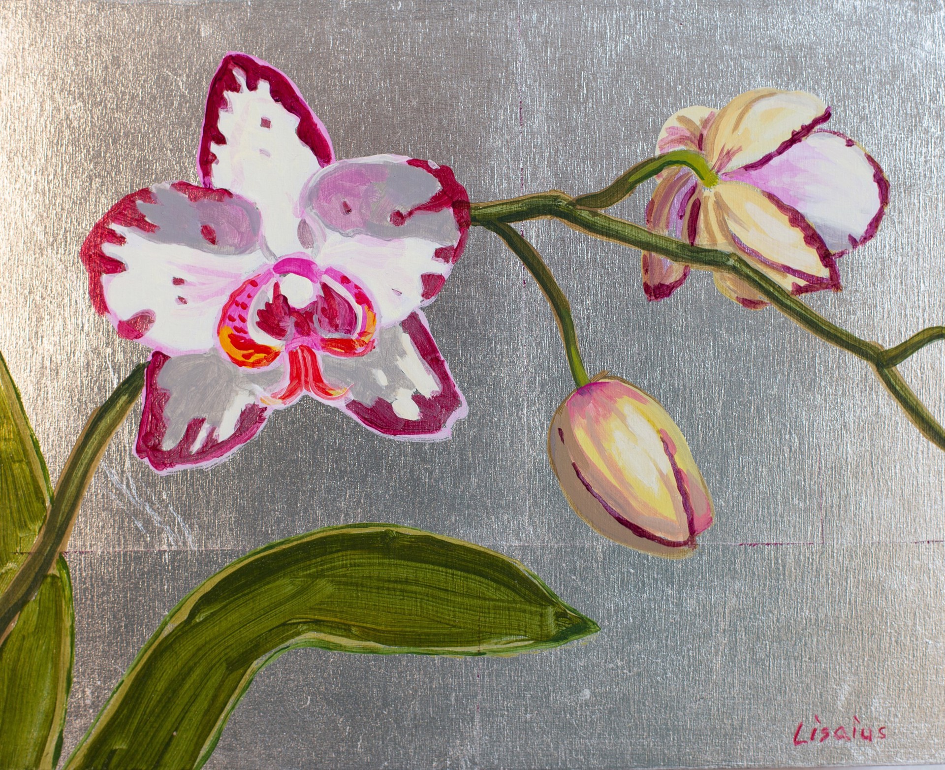 Orchid (SilverLight) by Fred Lisaius