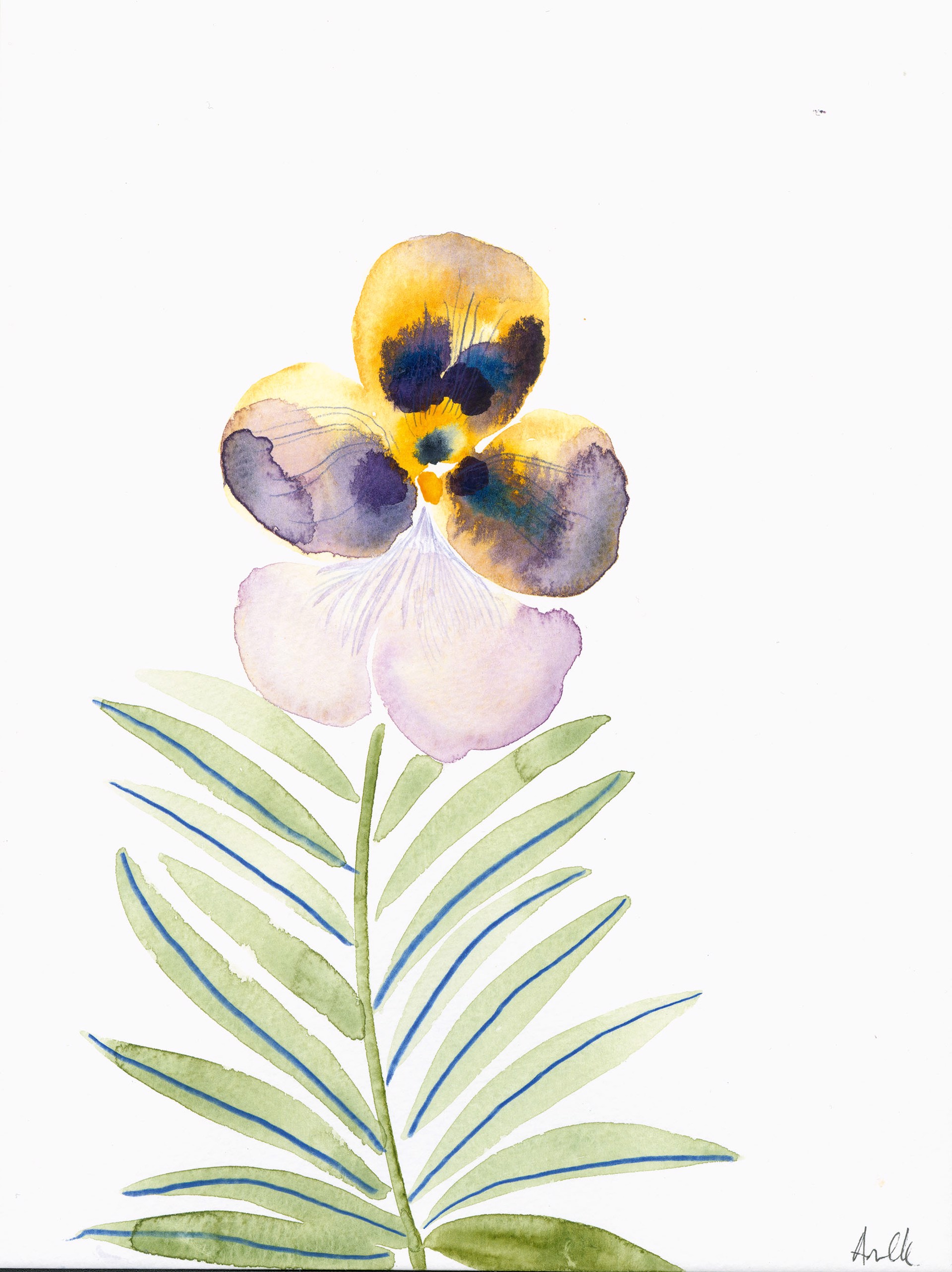 Pansy II by Anine Cecilie Iversen