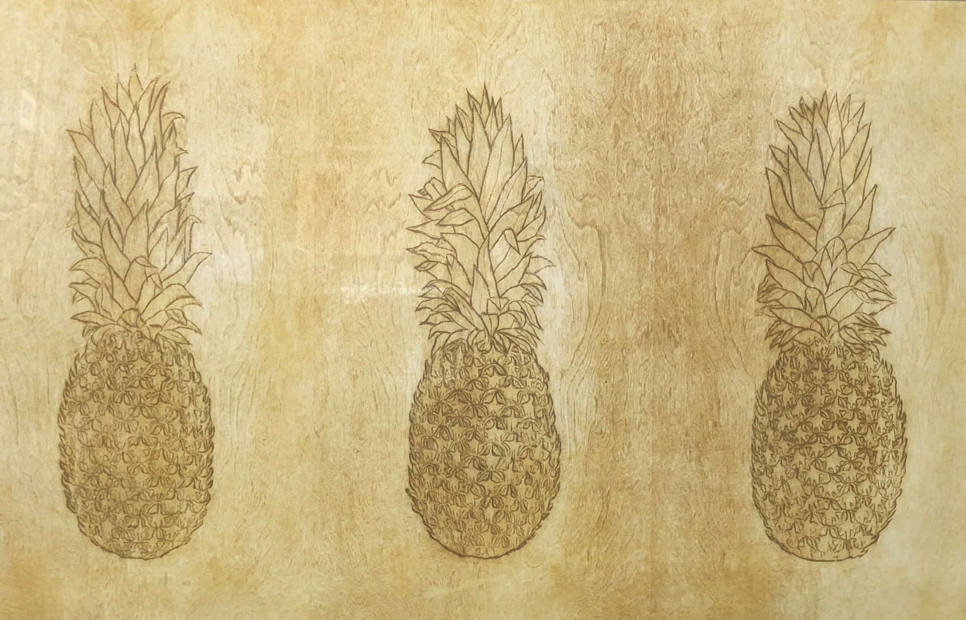 Three Pineapples by David Hefner