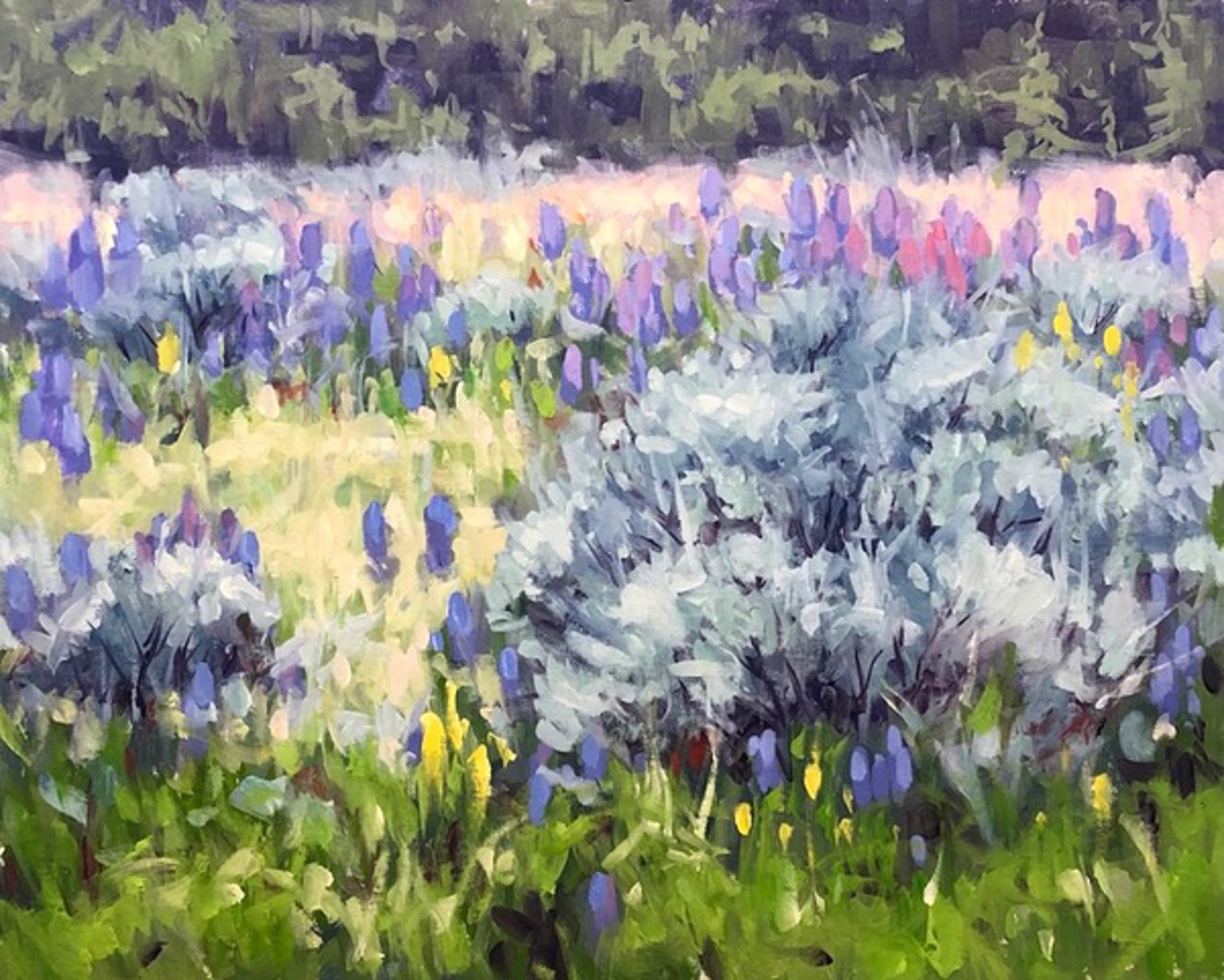 Lupines and Sage by Thomas English