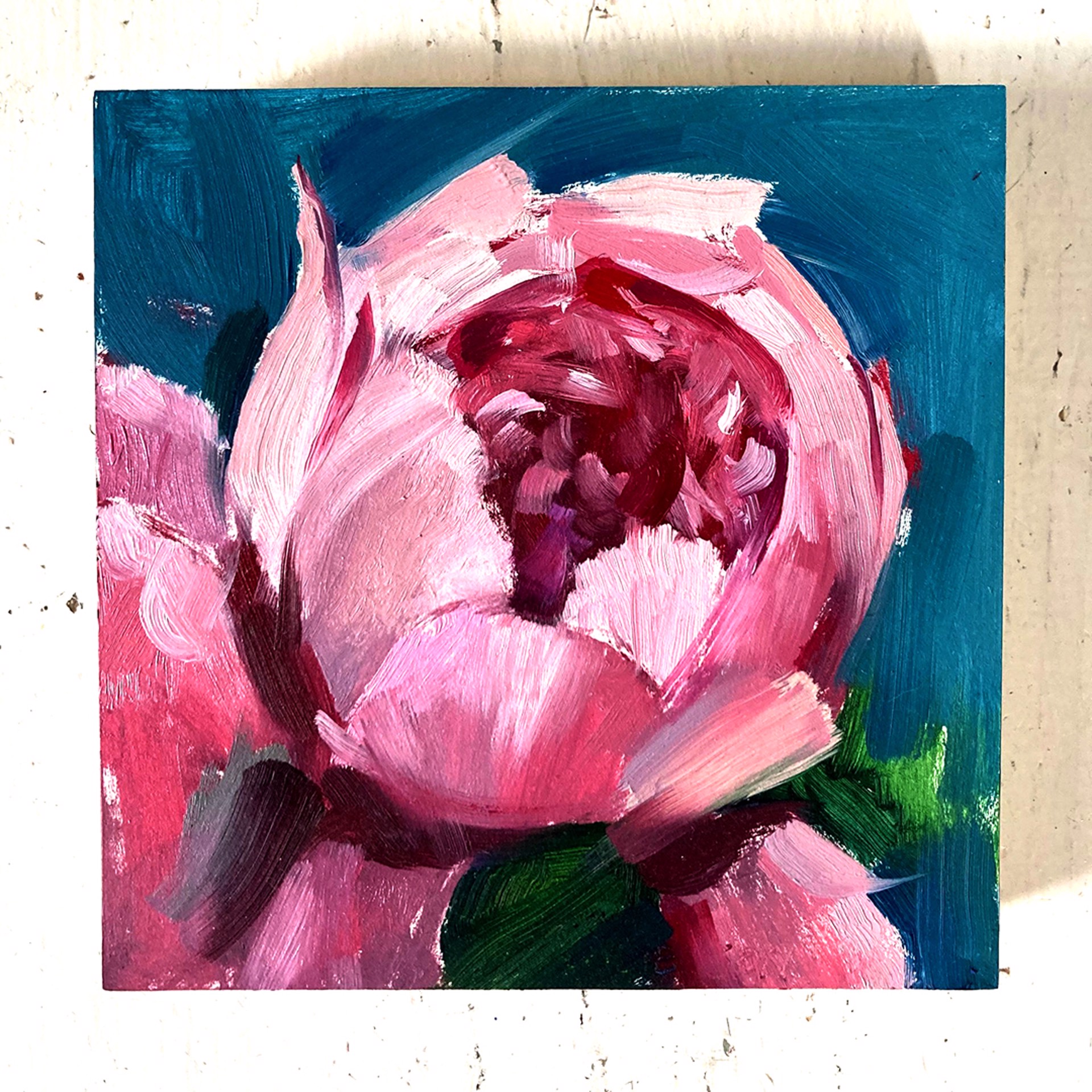 Peony Project #18 by Amy R. Peterson*