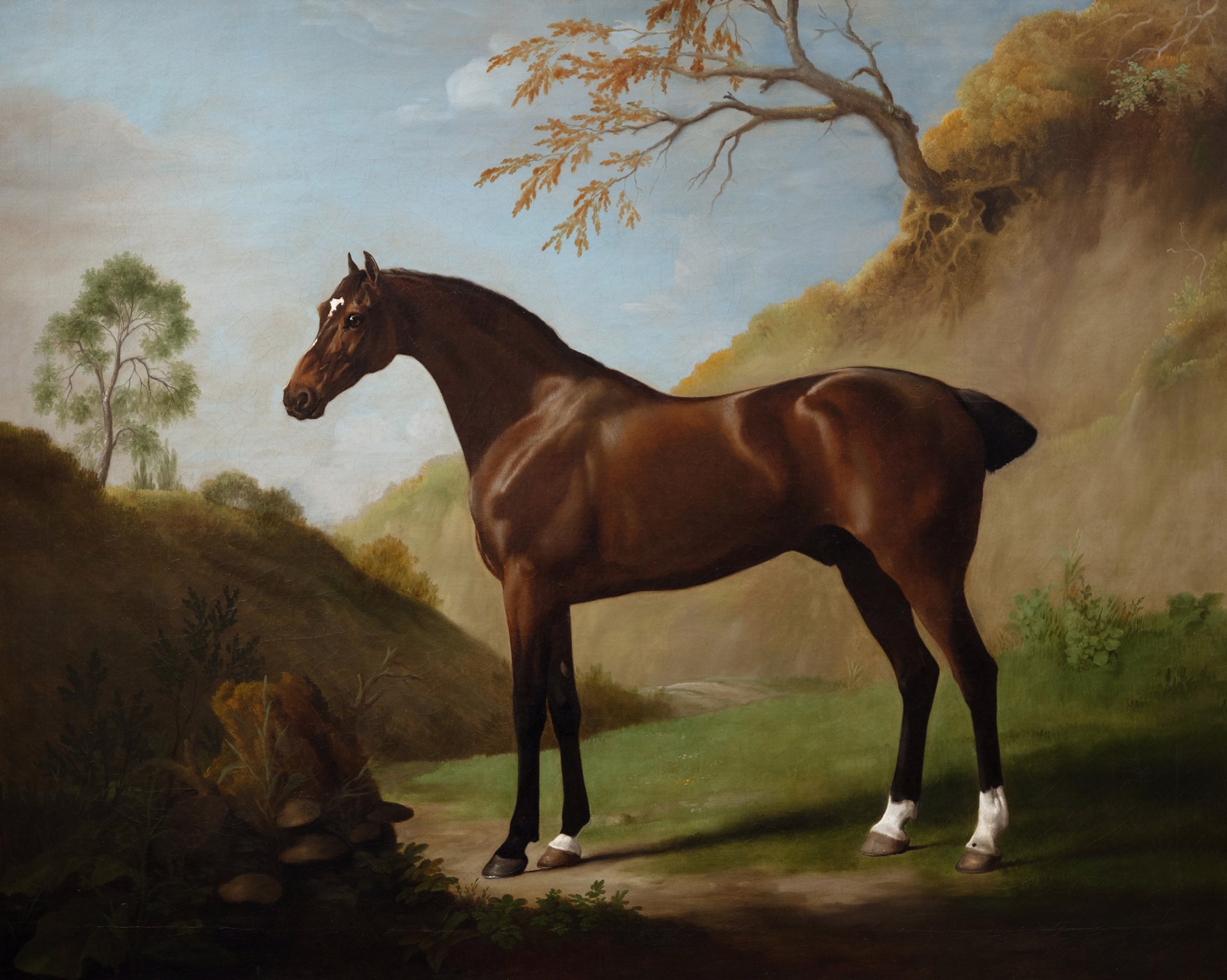 A Dark Bay Horse belonging to the Duke of Marlborough, seen near toadstools on a tree stump, by George Stubbs