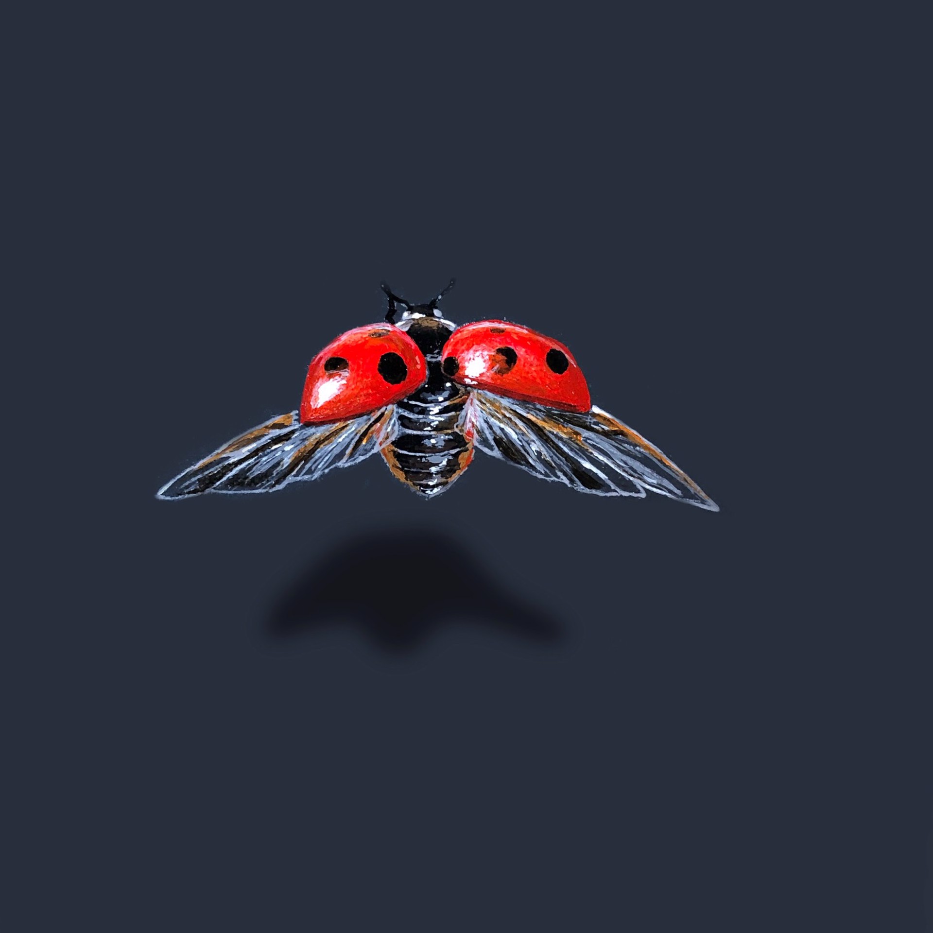 Queen Lady Bug by Anthony Deon