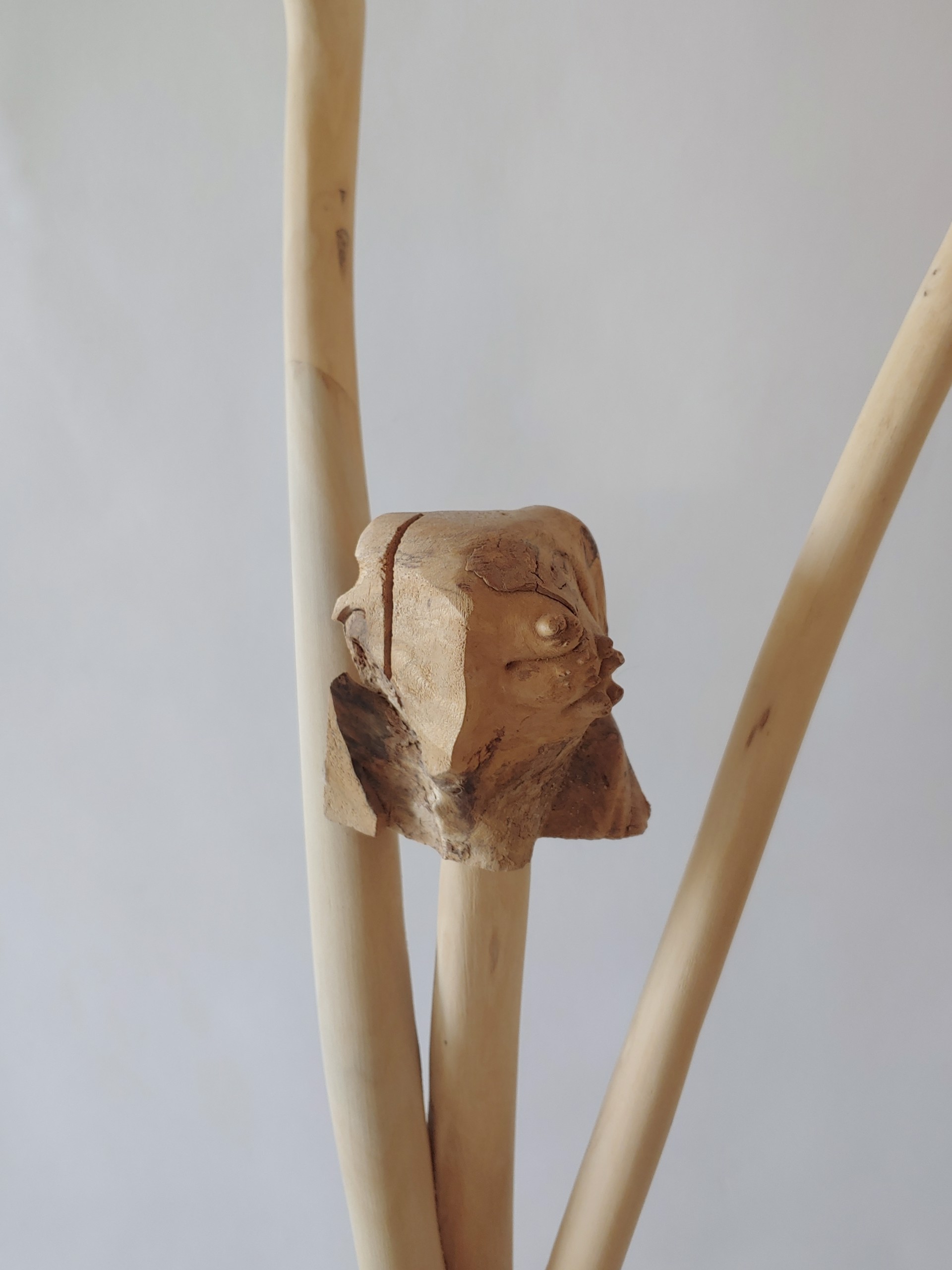 Rejoicer #2 - Wood Sculpture by David Amdur