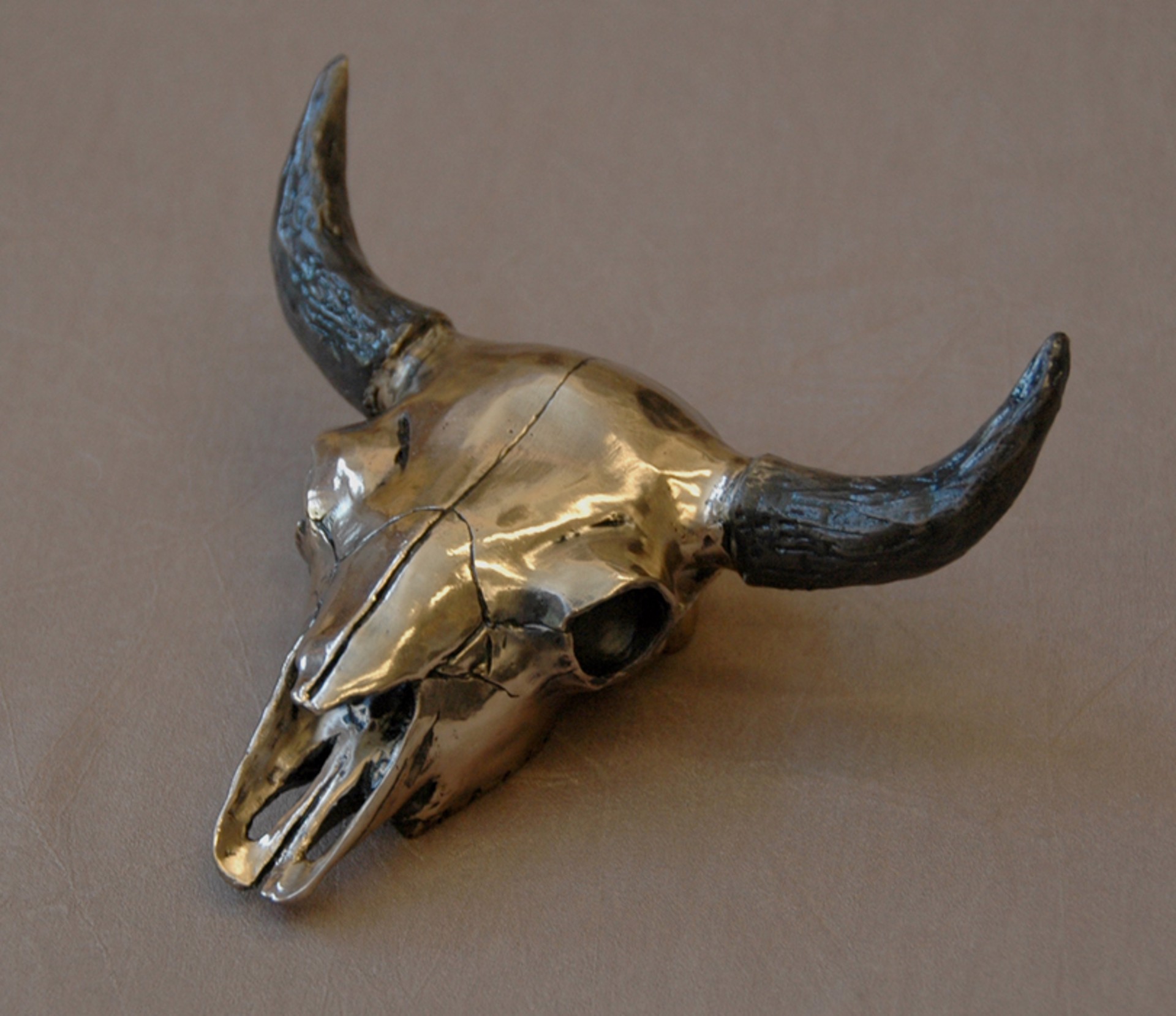 Bison Skull by Jim Eppler