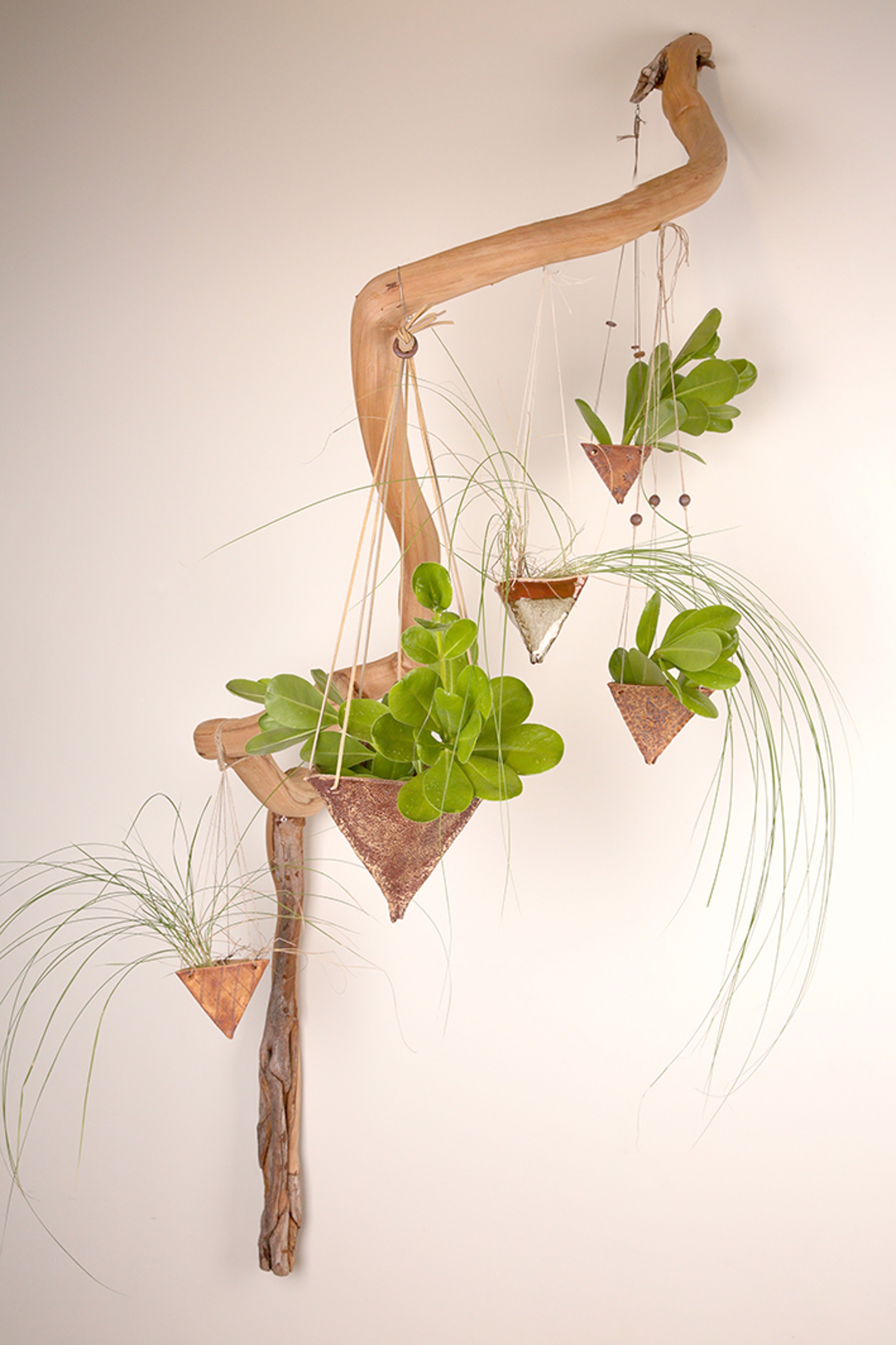 Hanging Planters by Jamie Nash