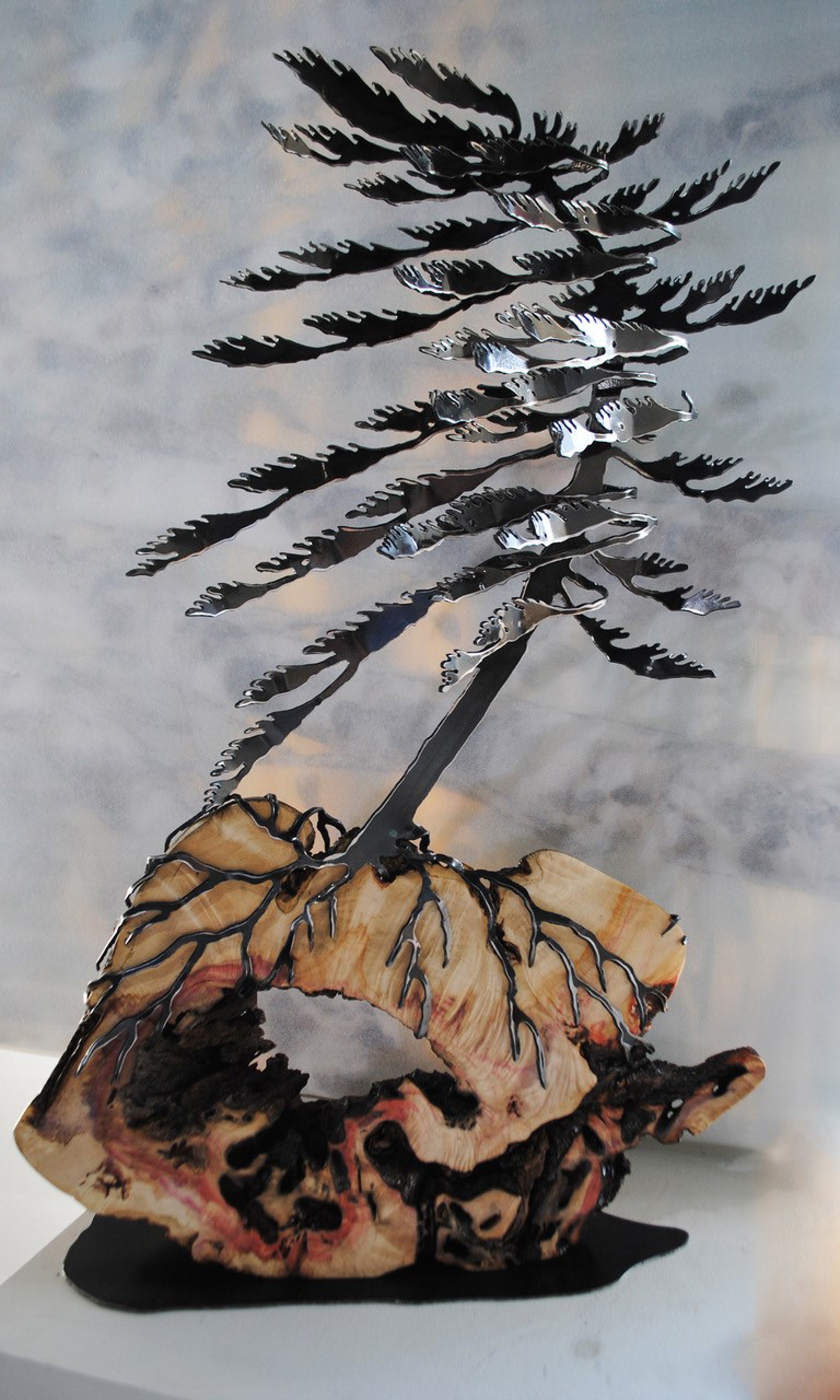 Windswept Pine on Maple Burl 6406 by Cathy Mark