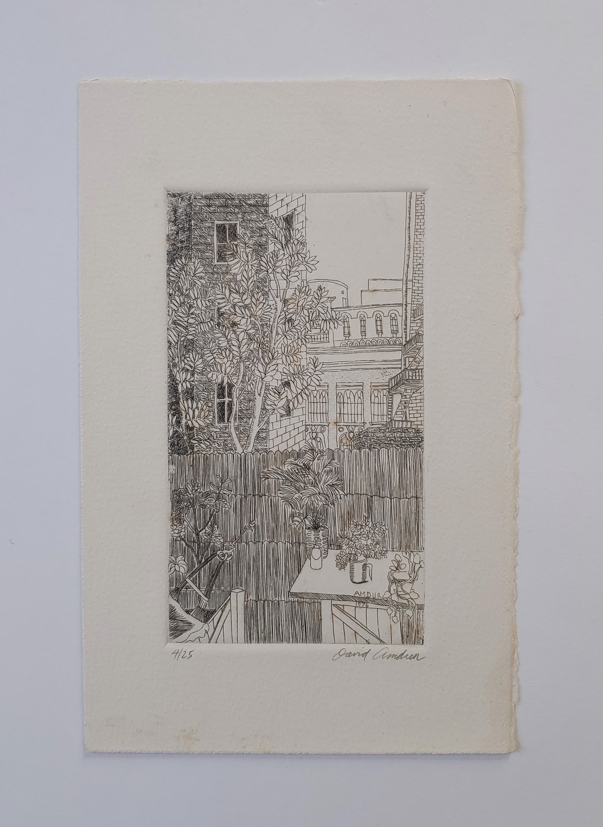 New York City Backyard (4/25) - Print, signed by David Amdur