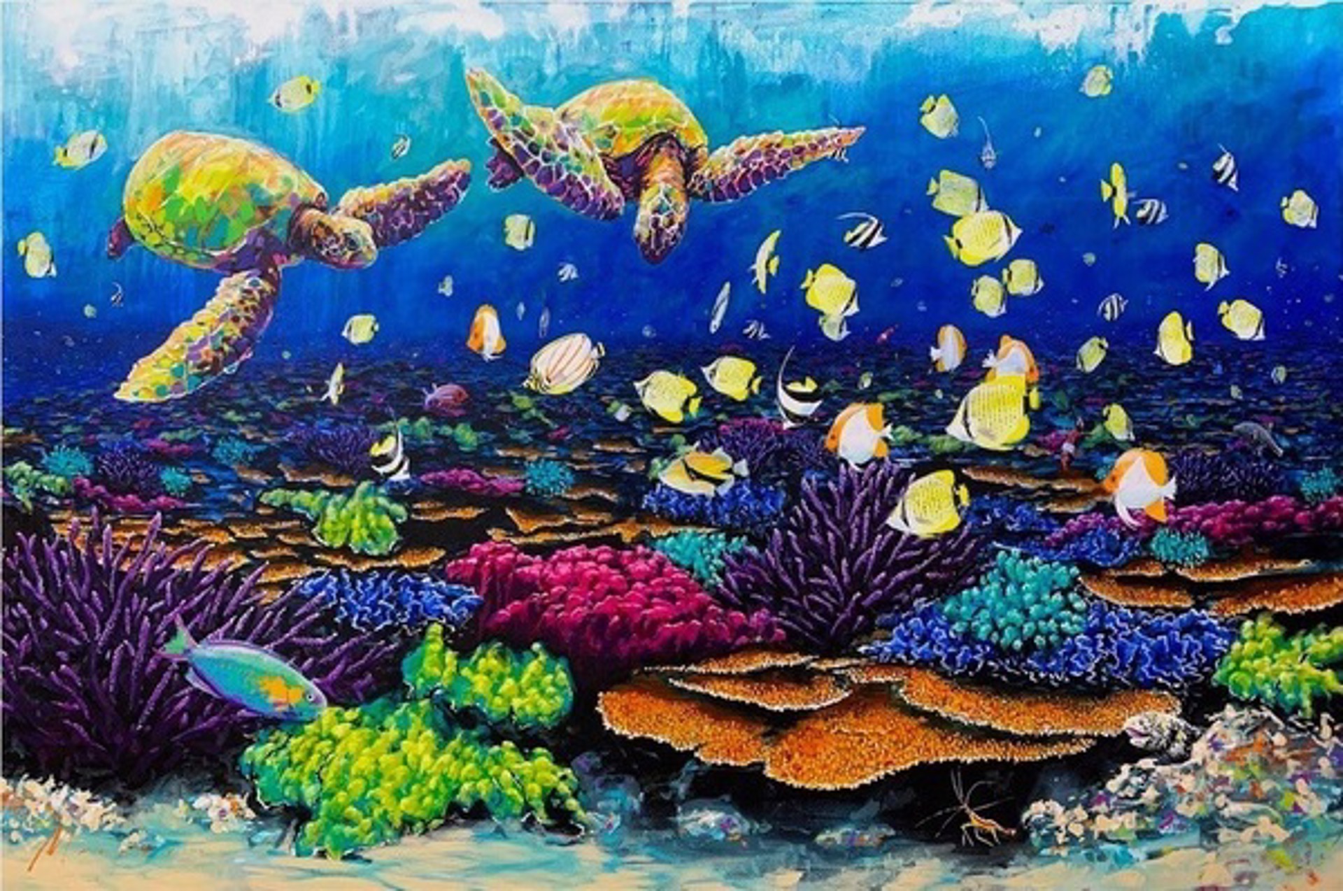 Reef Wonder by Shawn Mackey