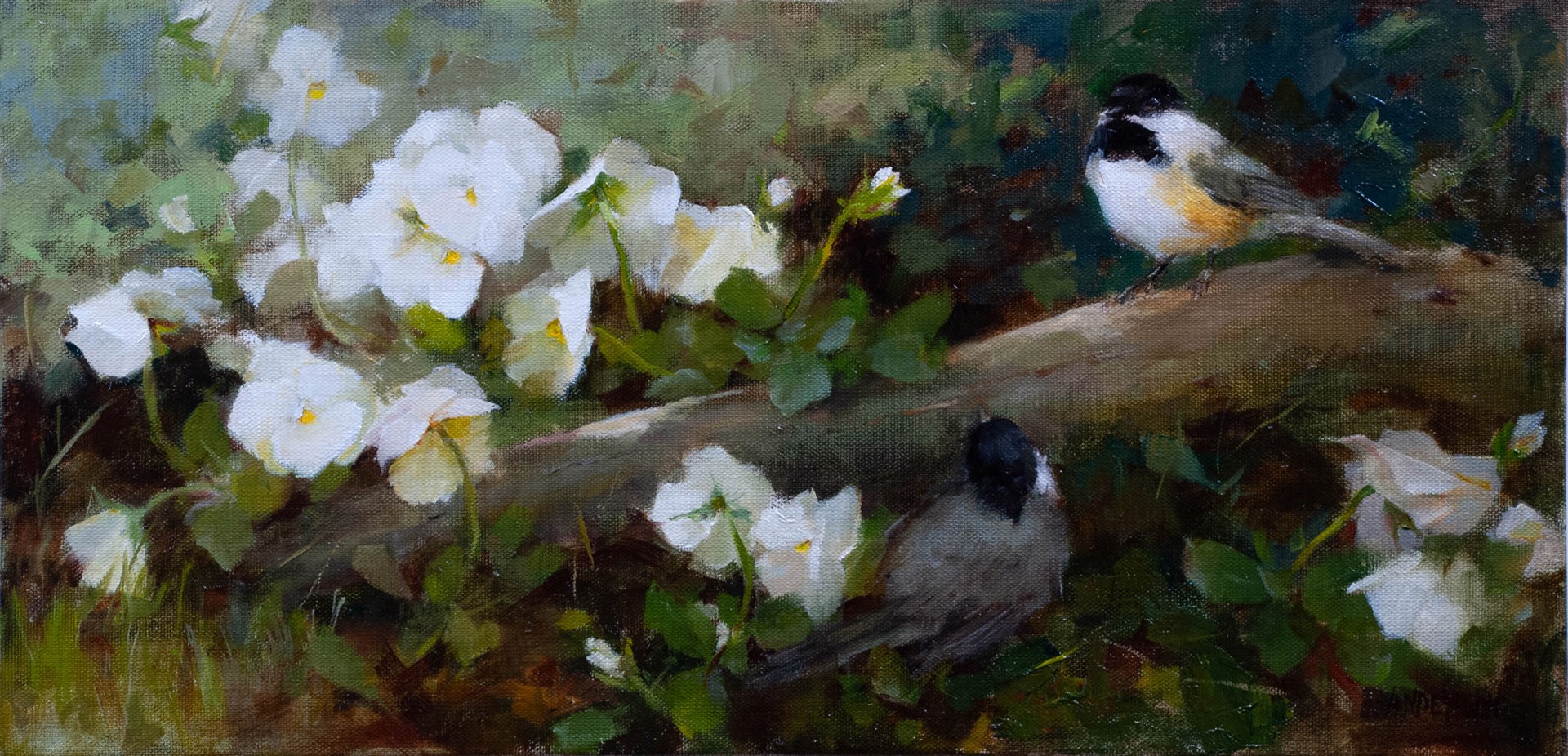 White Pansies and Two Chickadees by Kathy Anderson
