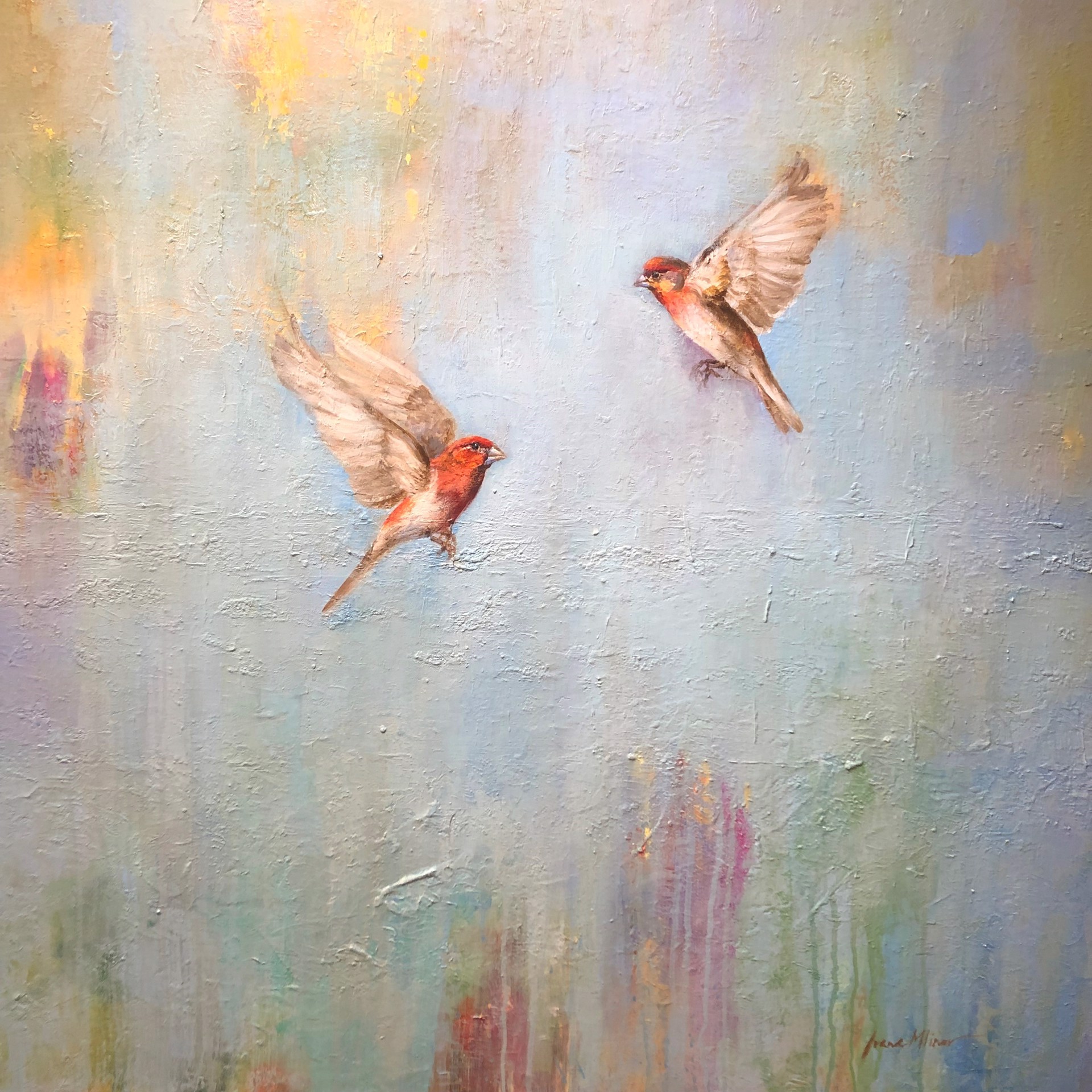 In Flight by Ivana Mlinar
