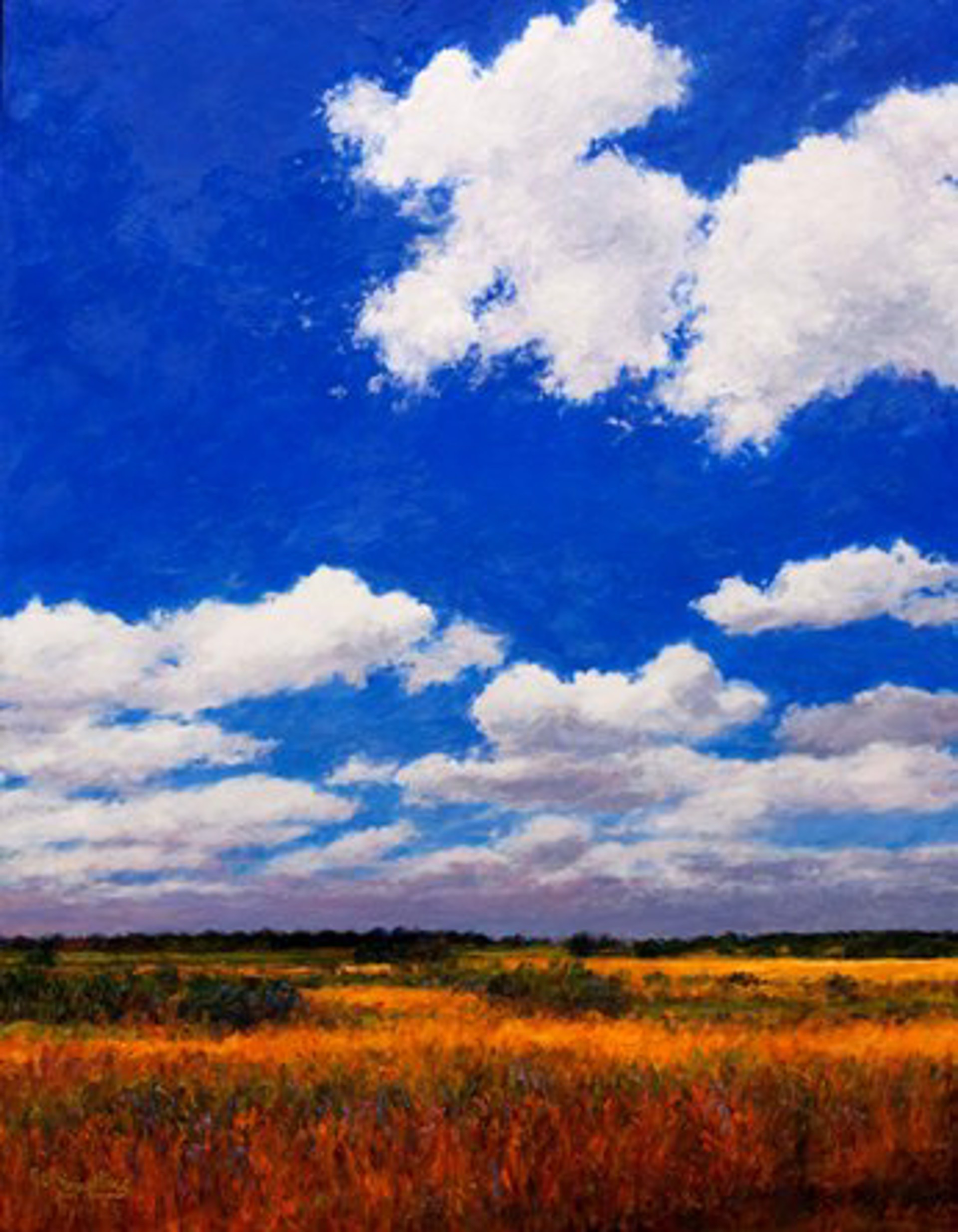 Prairie Below White Clouds by Gary Bowling