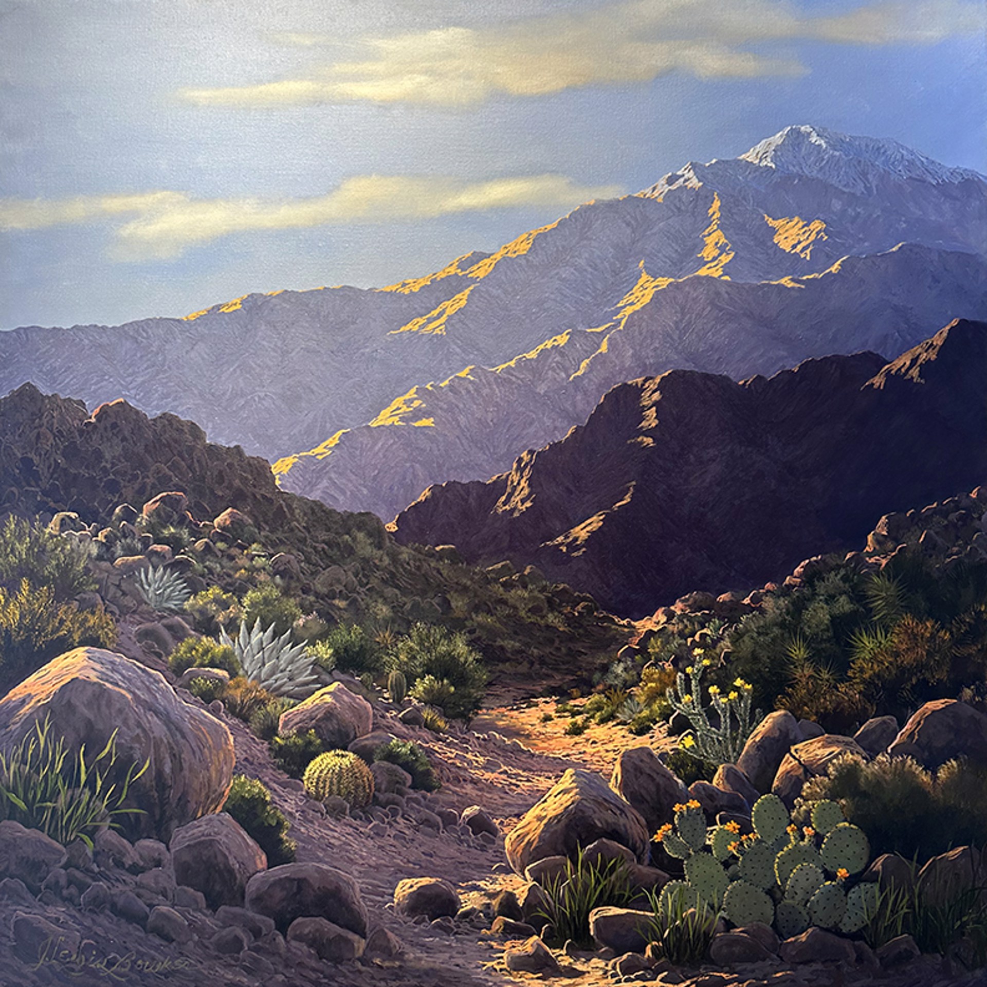 Early Desert Spring by Jackie Bowker