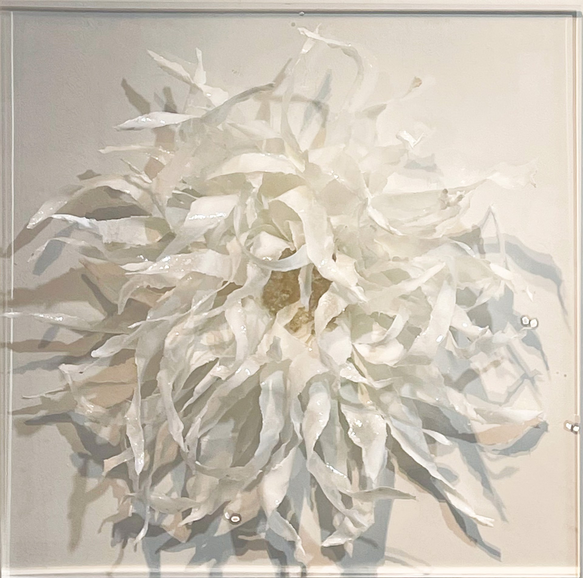 White Series 3 by Julia Gentile