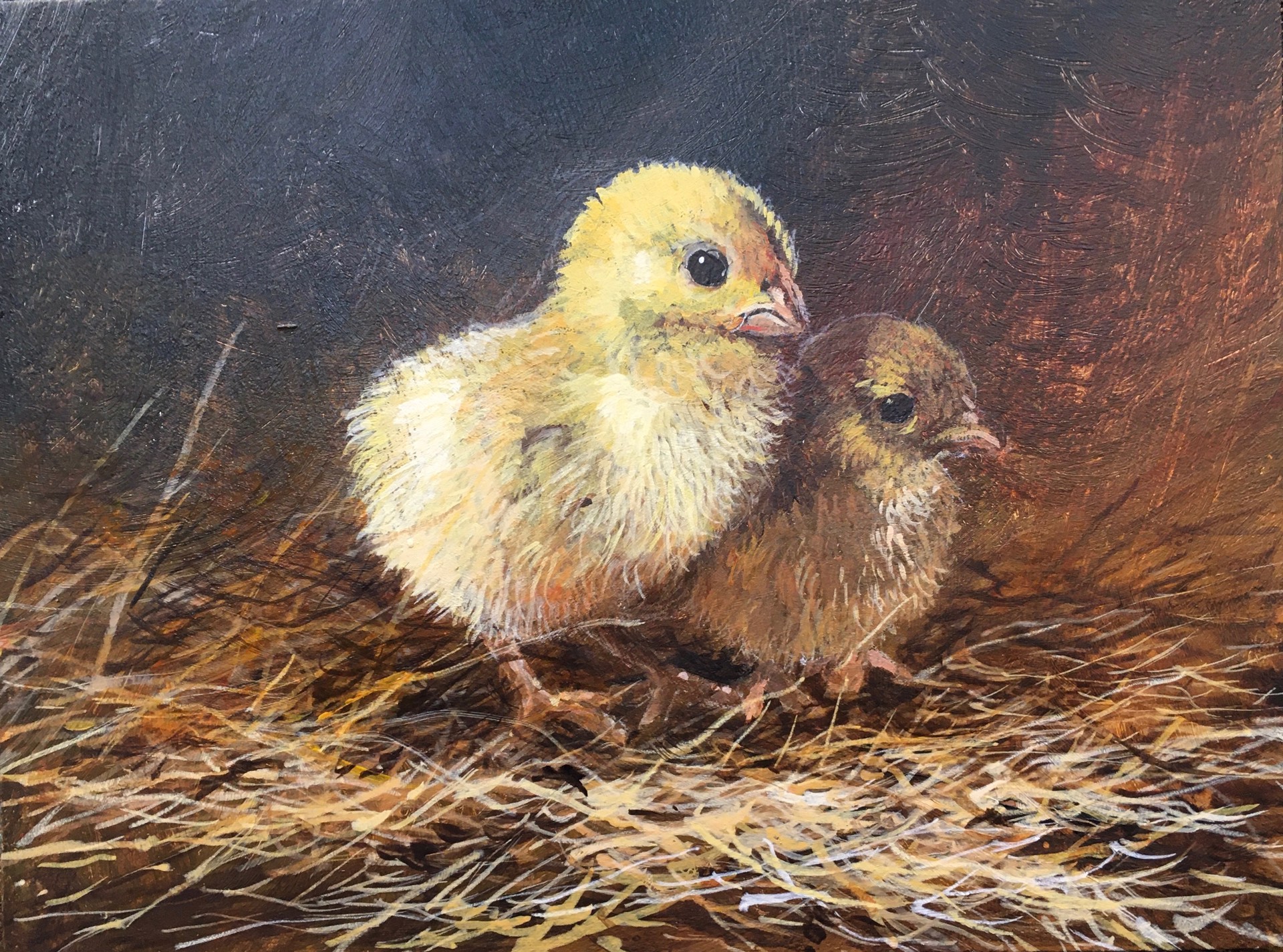 Chicks by Scott Hiestand