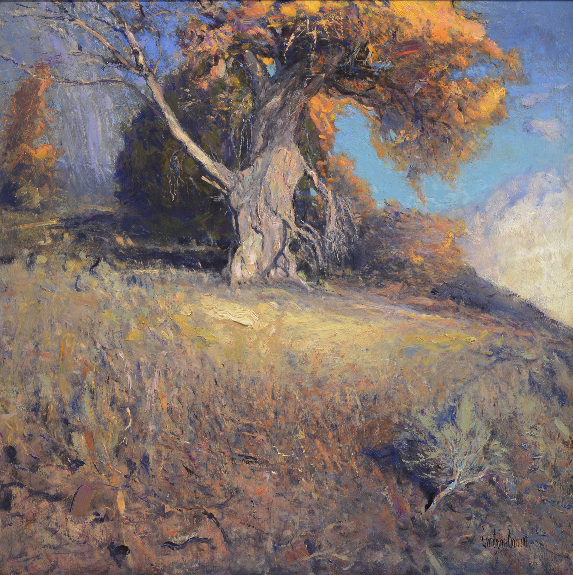 Old Cottonwood by Gordon Brown