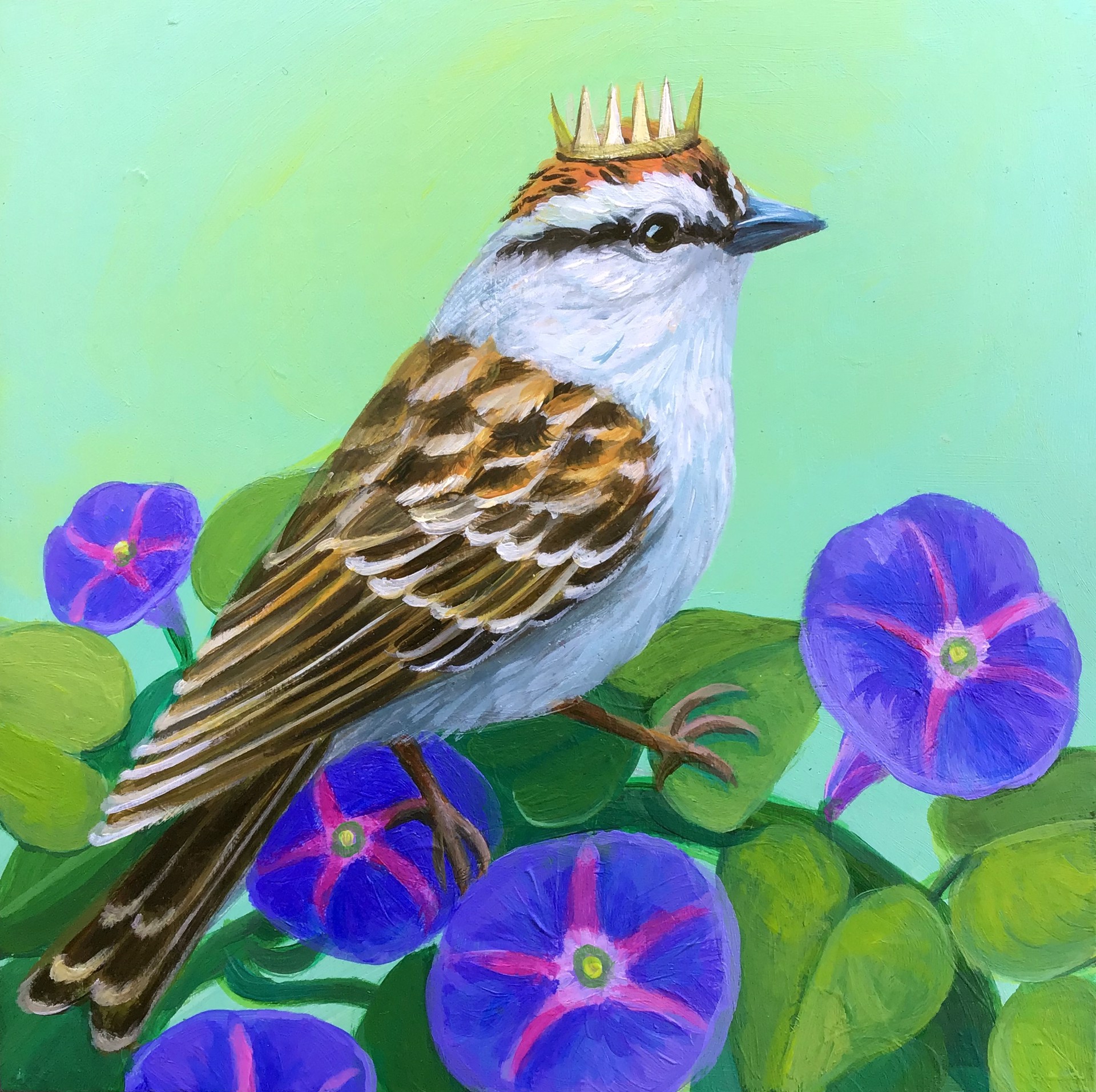 Chipping Sparrow Morning Glory by Lisa Shimko