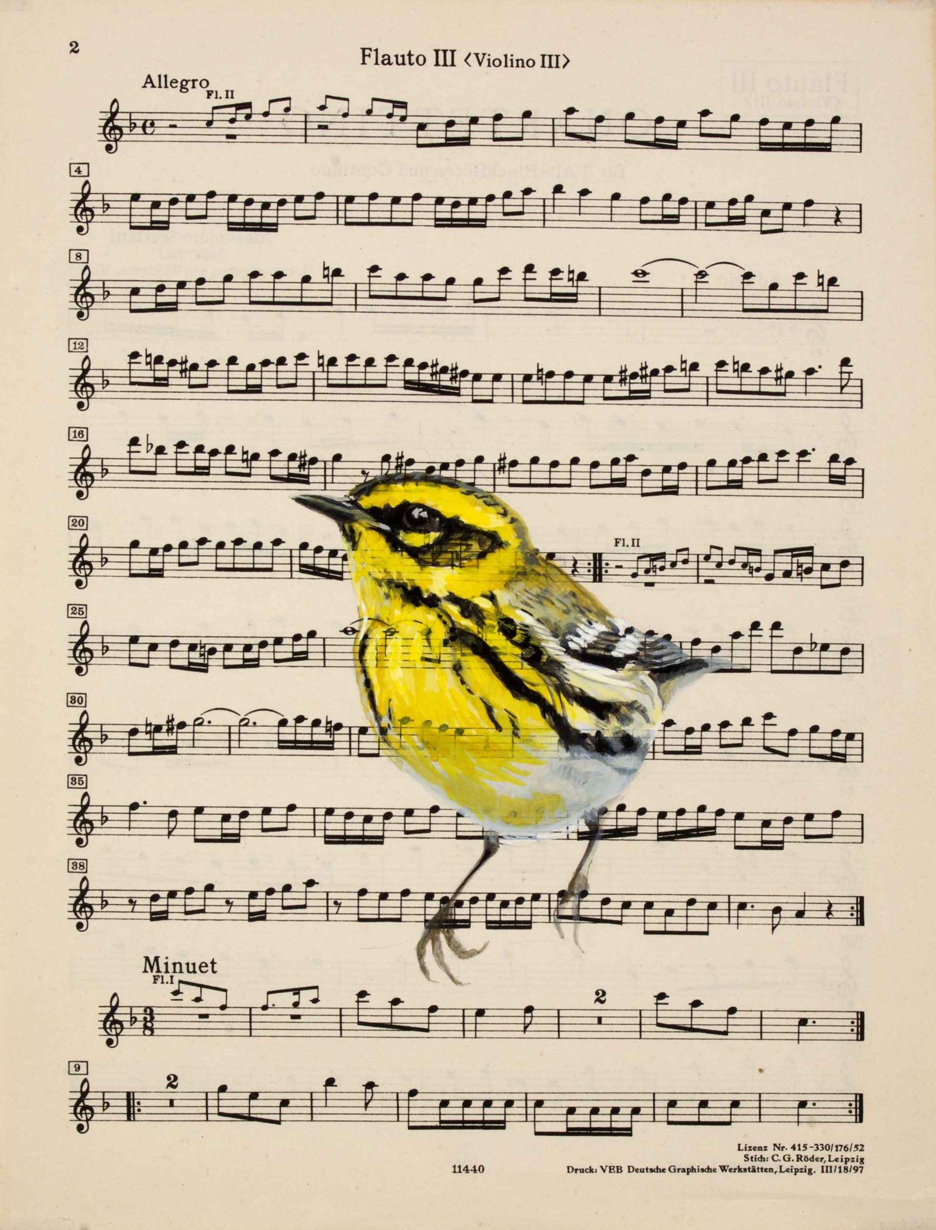 Townsend Warbler Songs I by Diane Andrews Hall