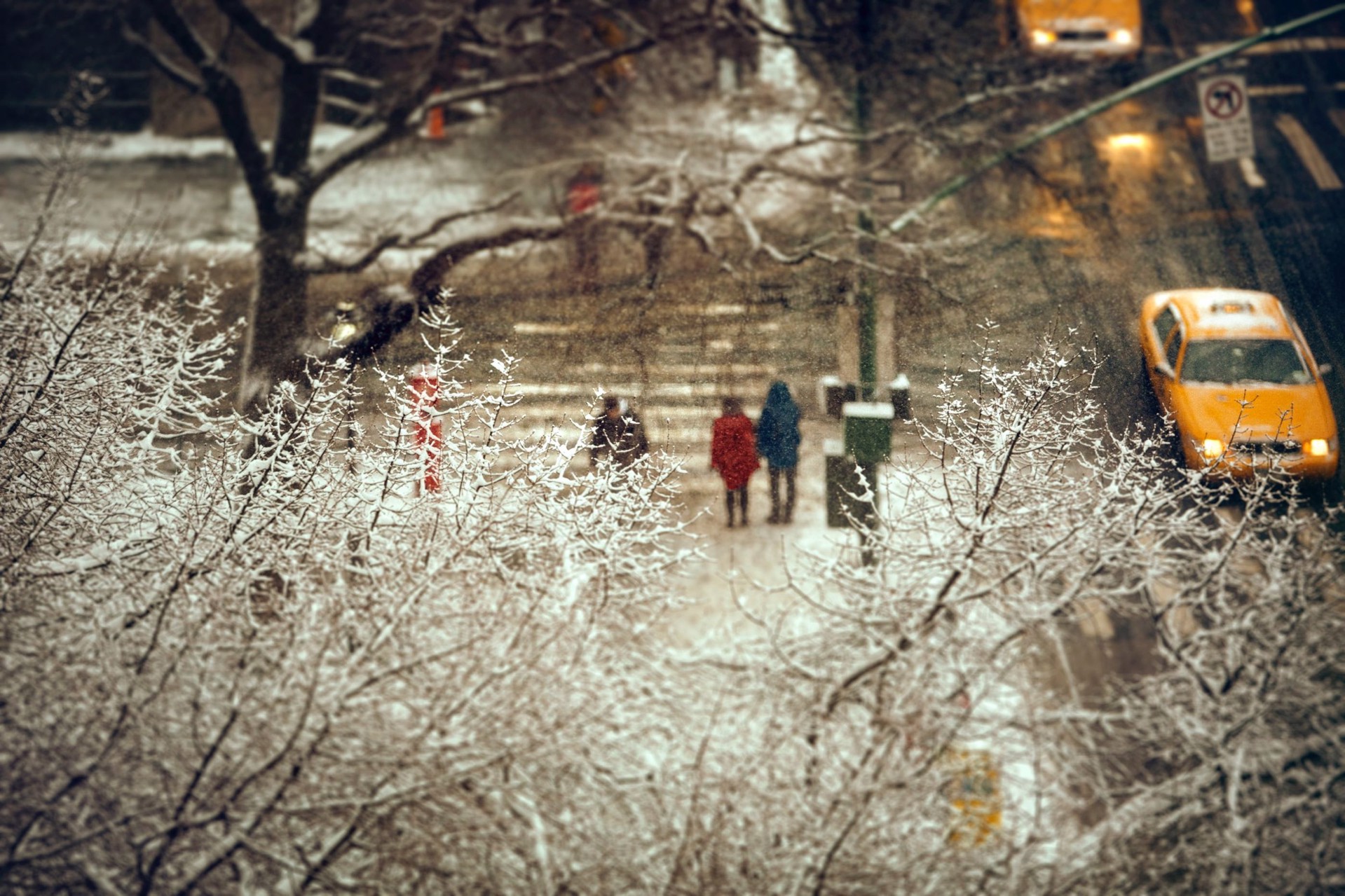 The Last Snow of New York by Alina Gozin'a
