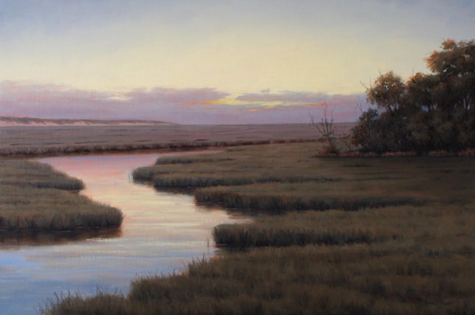 Distant Dunes by Ronald Tinney