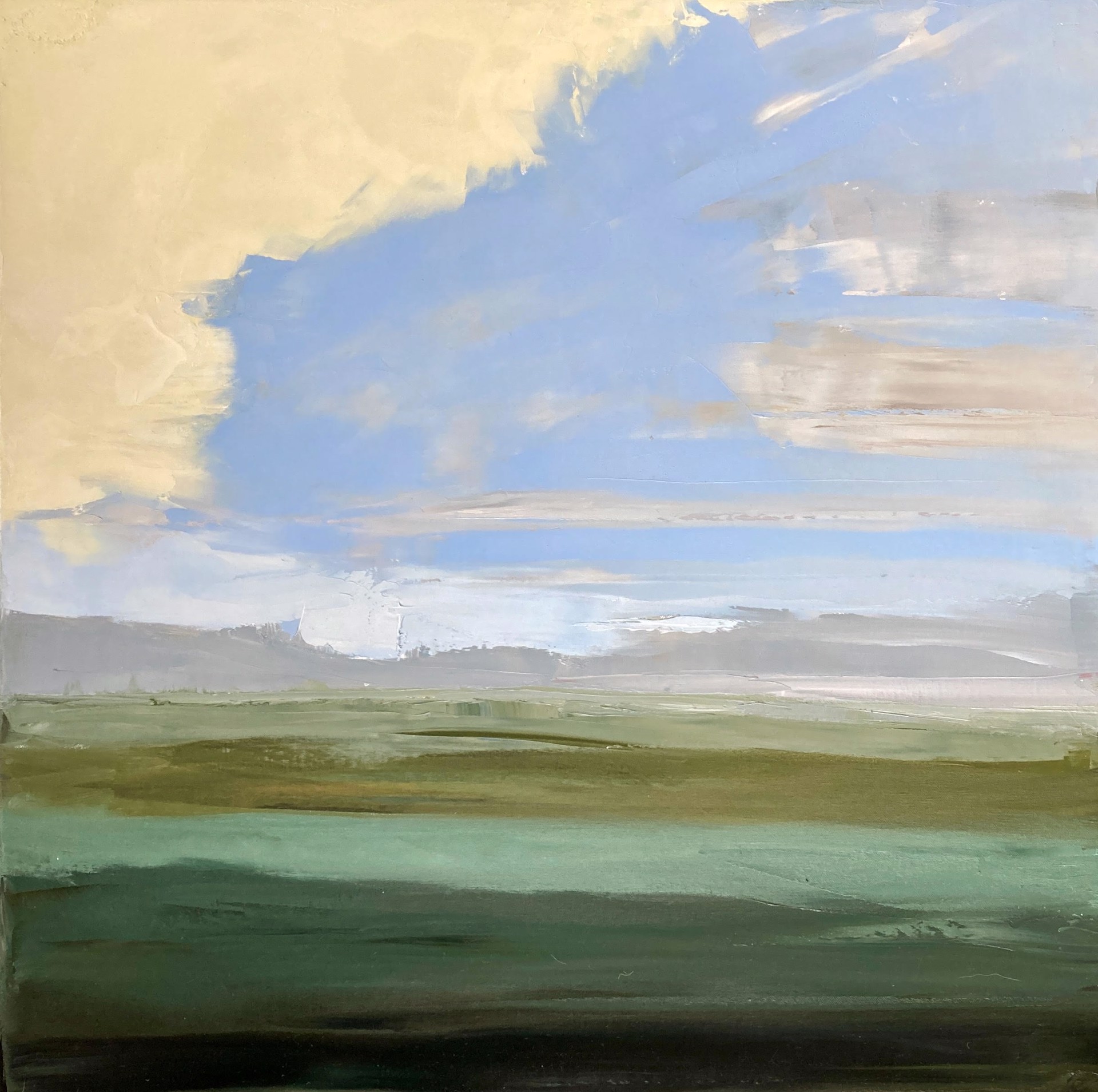 Quiet Field by Sandra Pratt