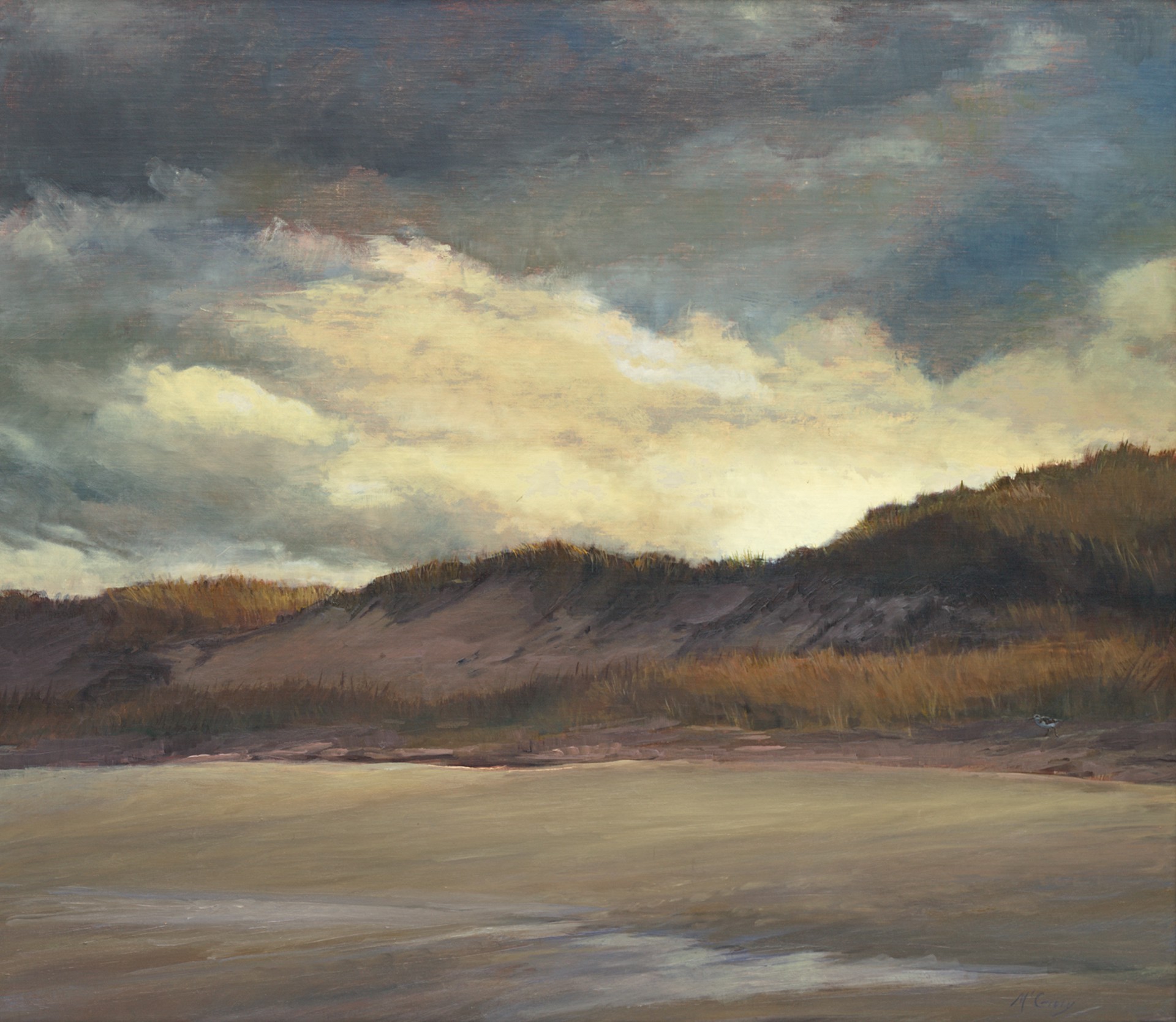 Plum Island by Anne McGrory