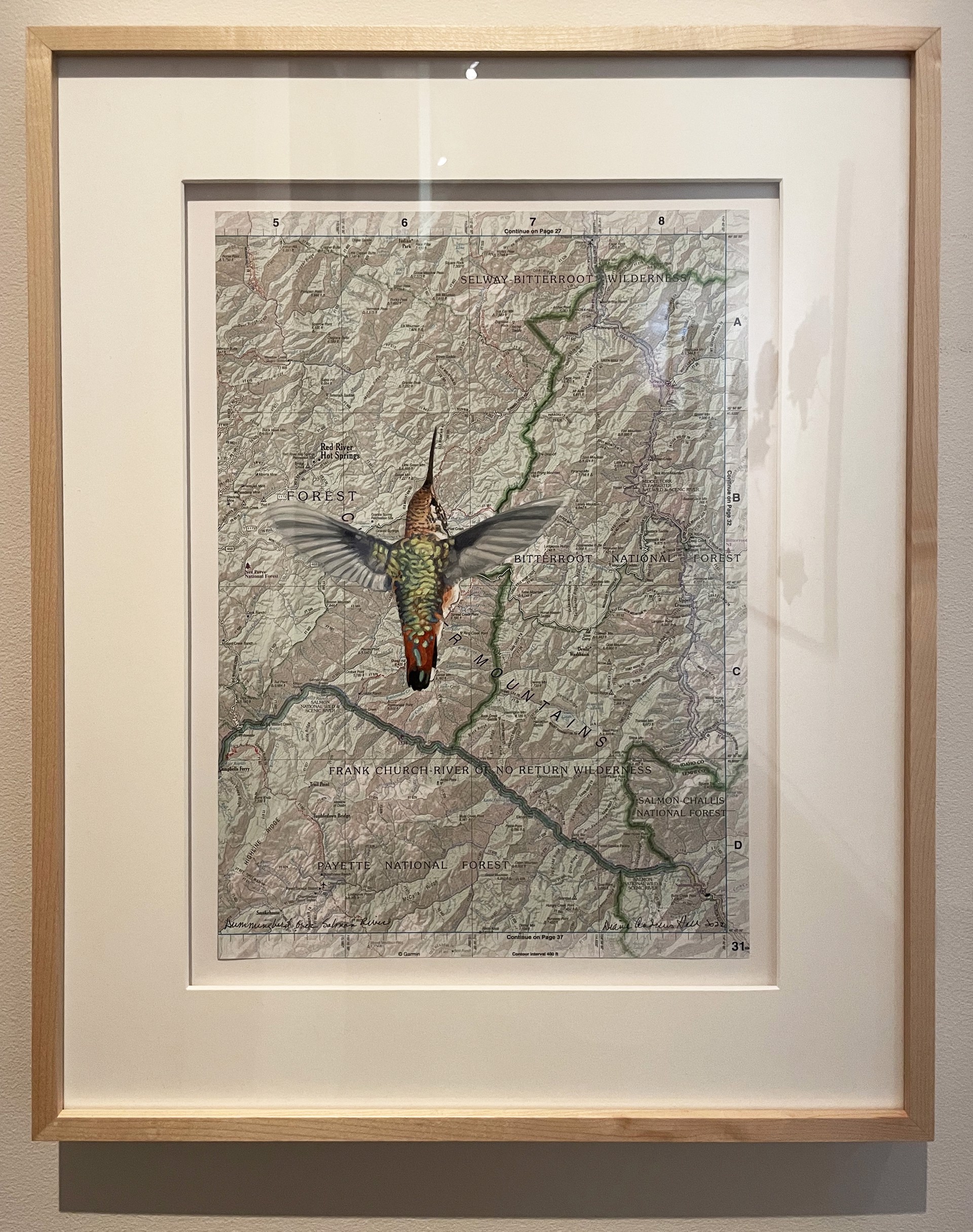 Hummingbird Over Salmon River by Diane Andrews Hall