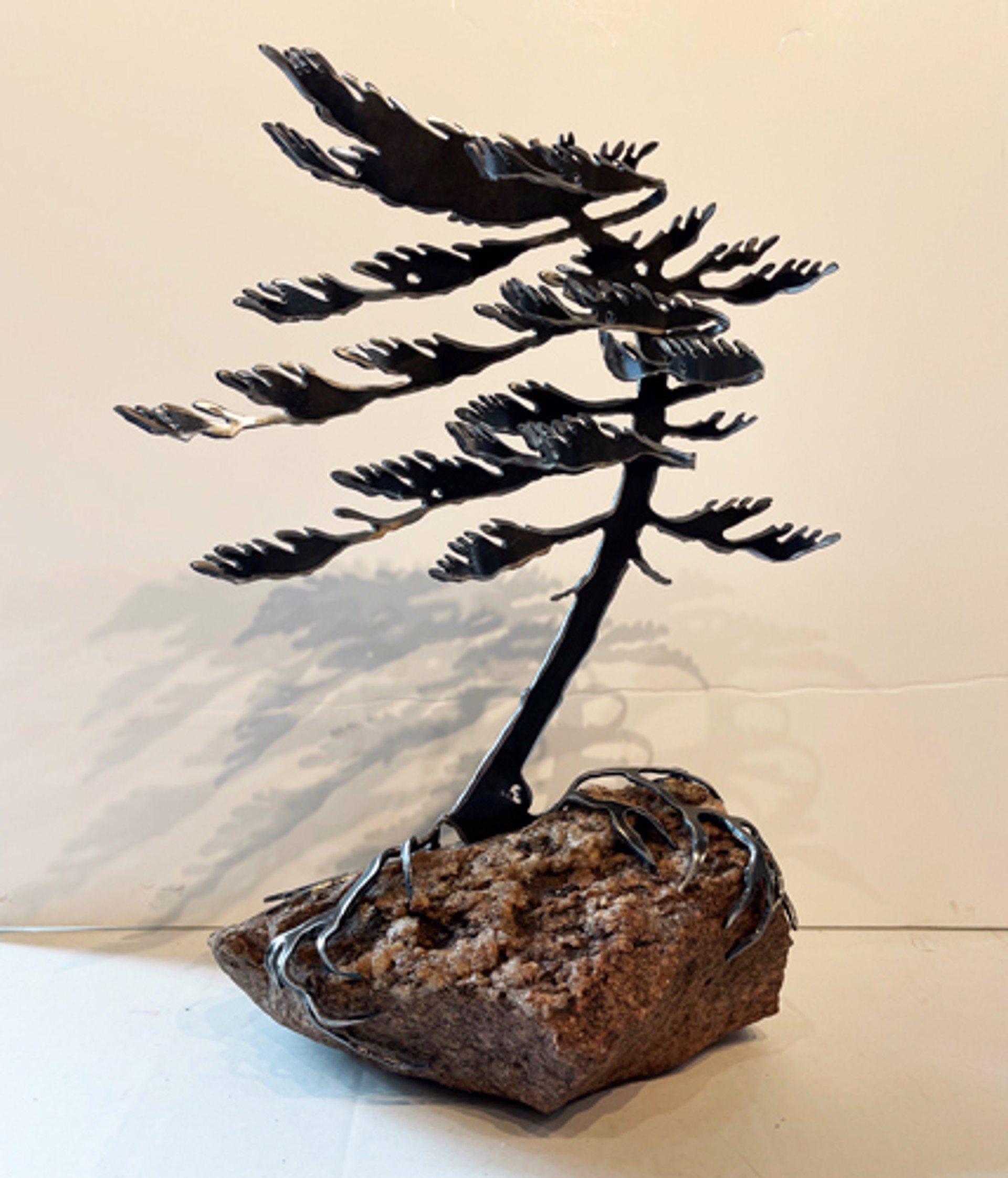 Windswept Pine 659523 by Cathy Mark