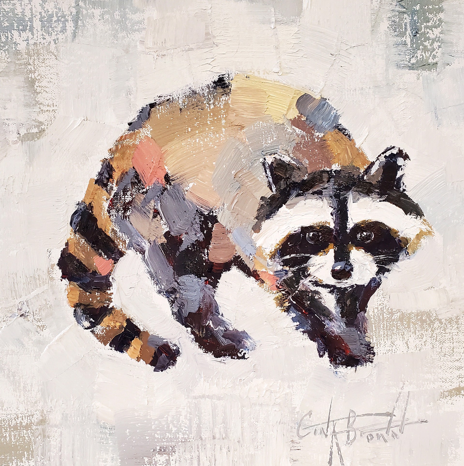 Raccoon by Gina Brown