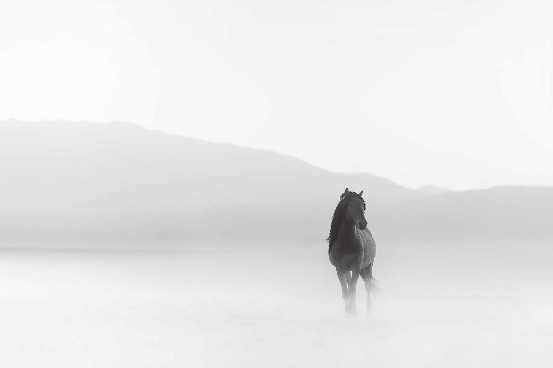 Within the Fog I by Maria Marriott