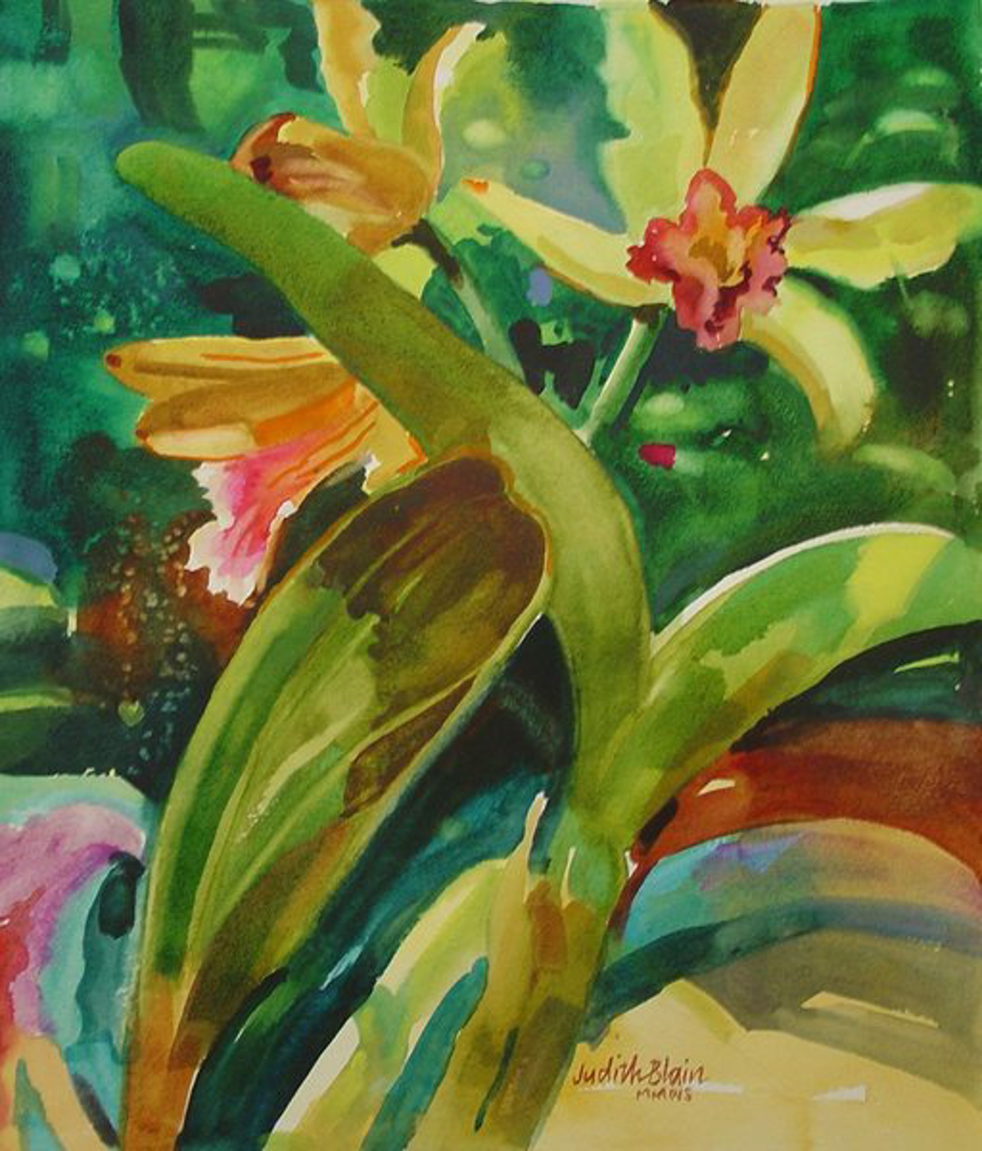 Orchid 1 by Judith Blain