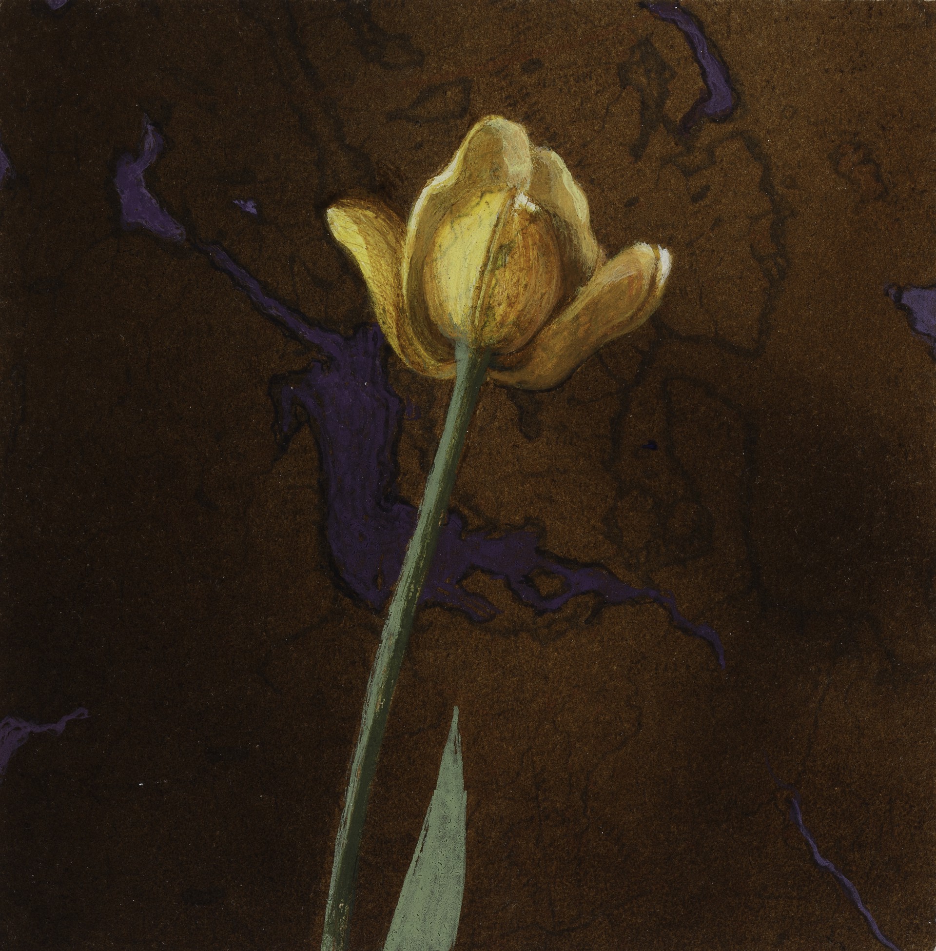 Yellow Tulip by Carol Mothner