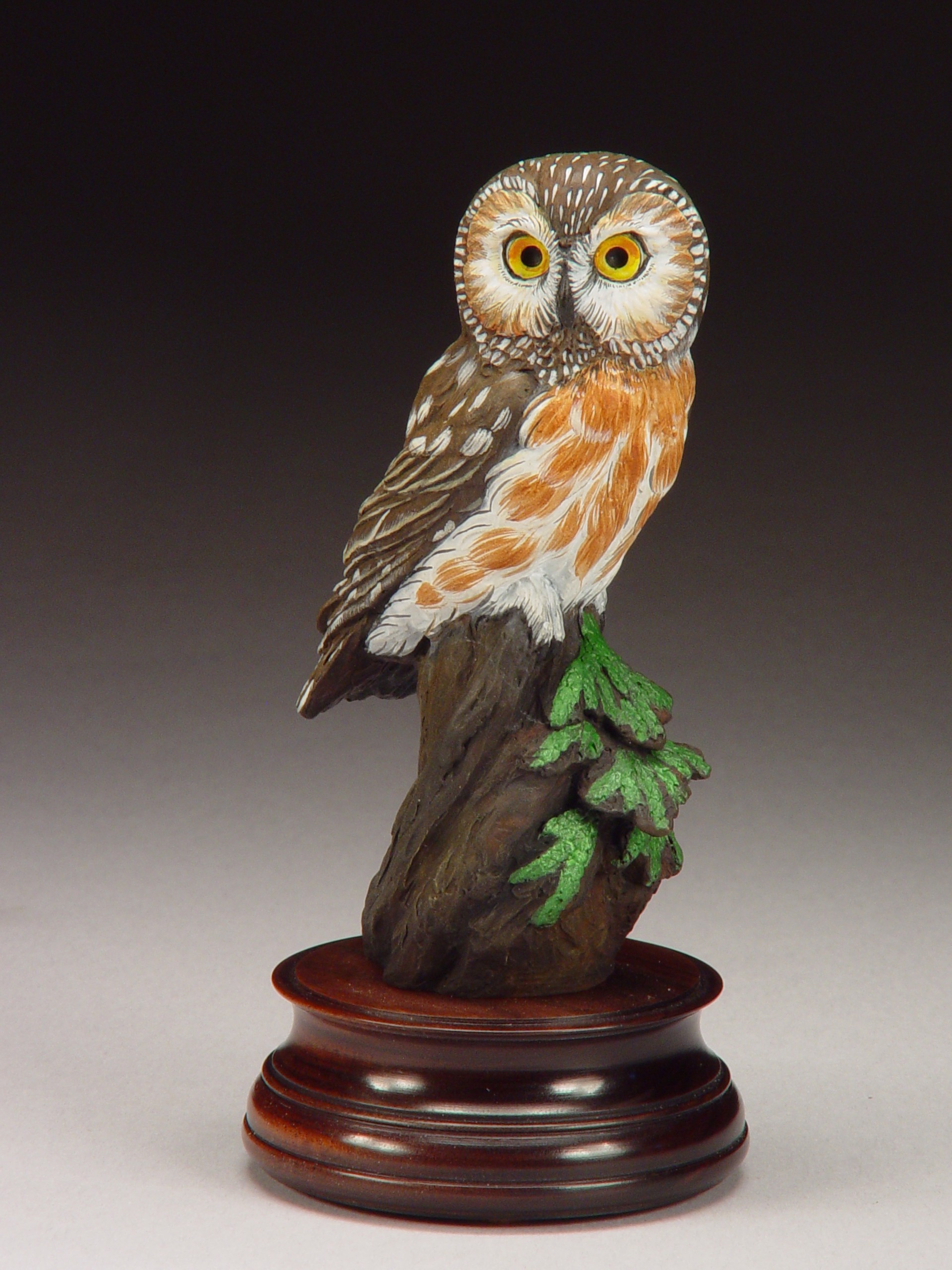 Saw-whet Owl by Joan Zygmunt