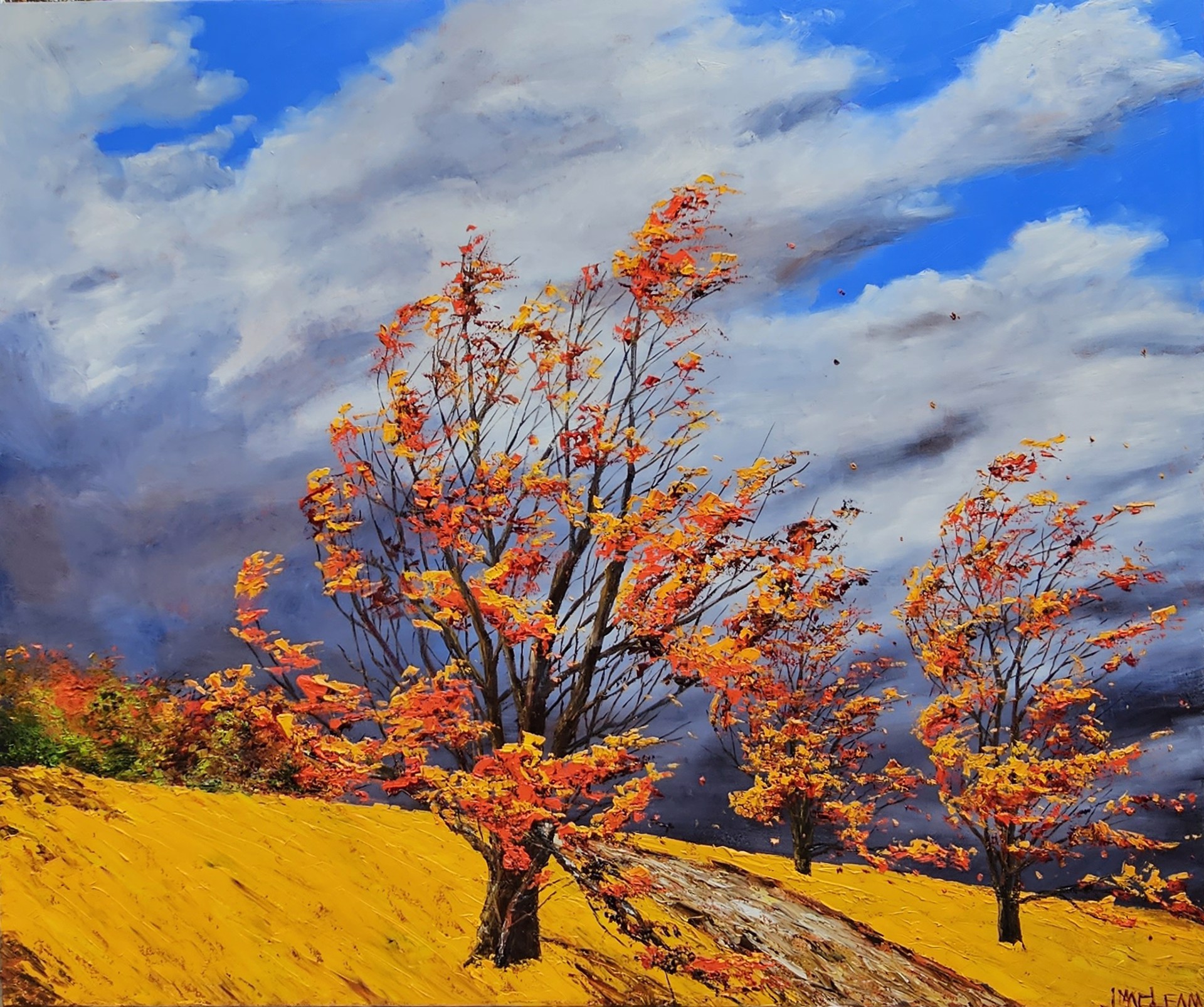 Sugar Maple Magic by Jamie MacLean