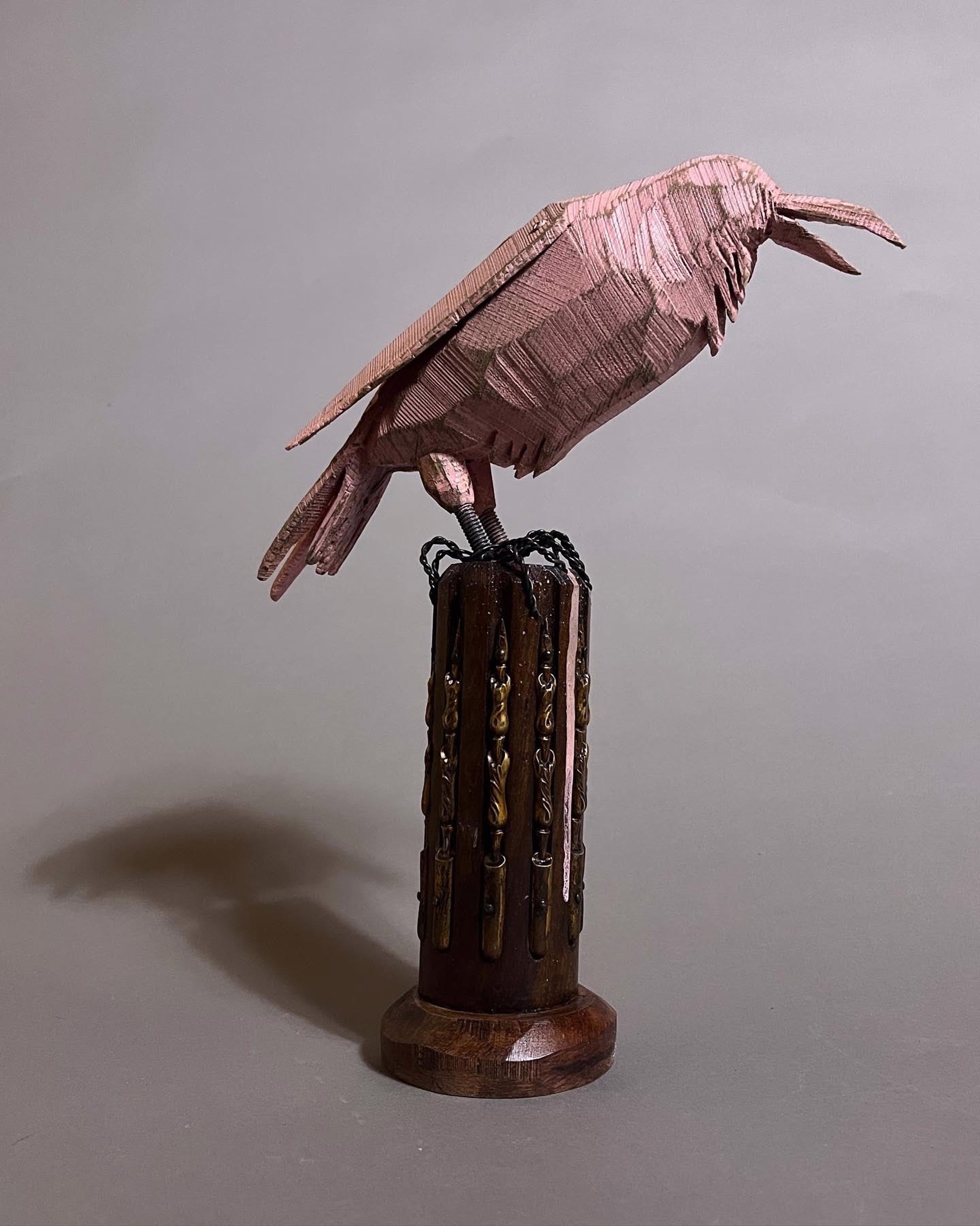 Pink Raven by Geoffrey Gorman