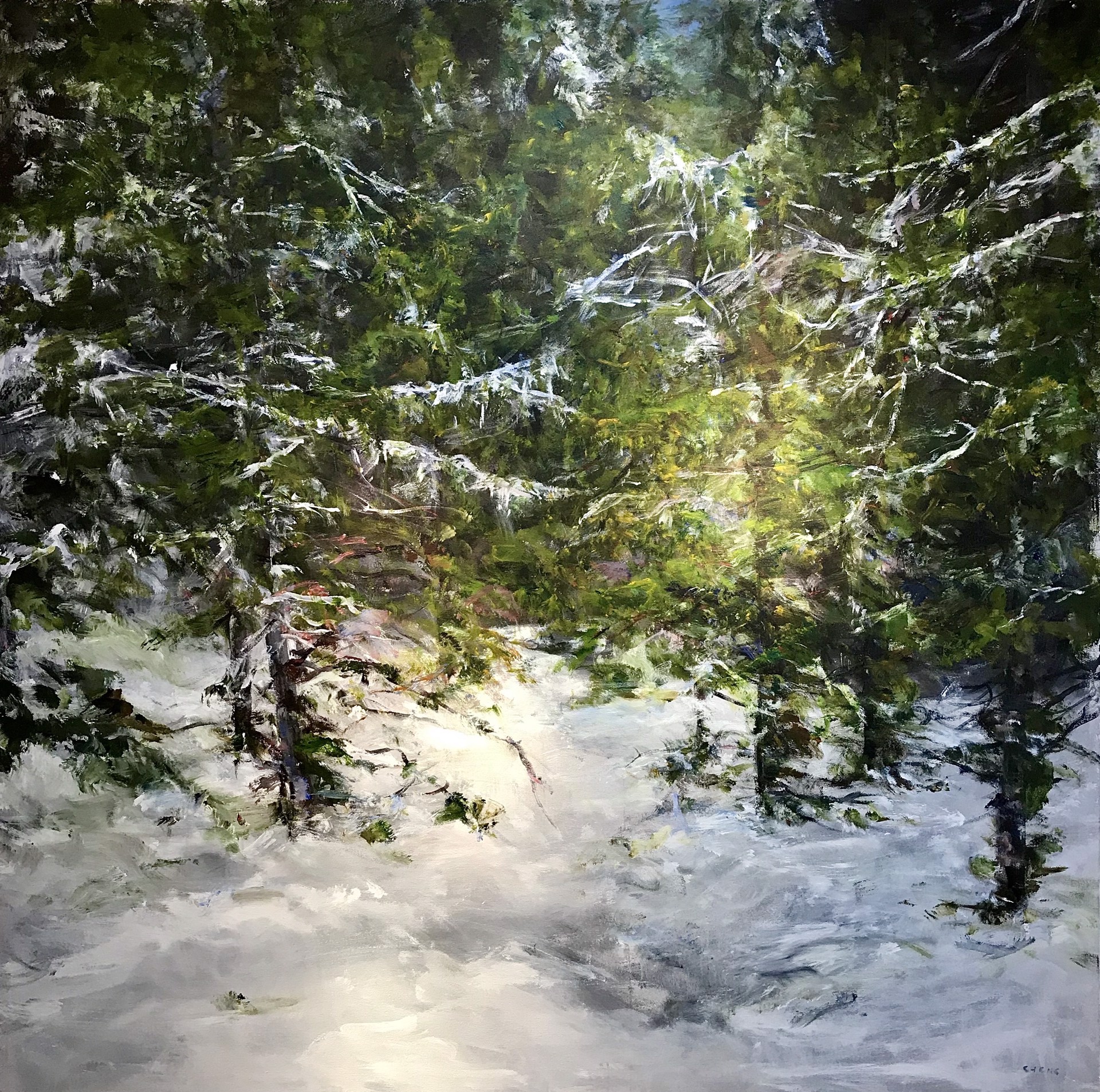 Winter scene  by Judy Cheng