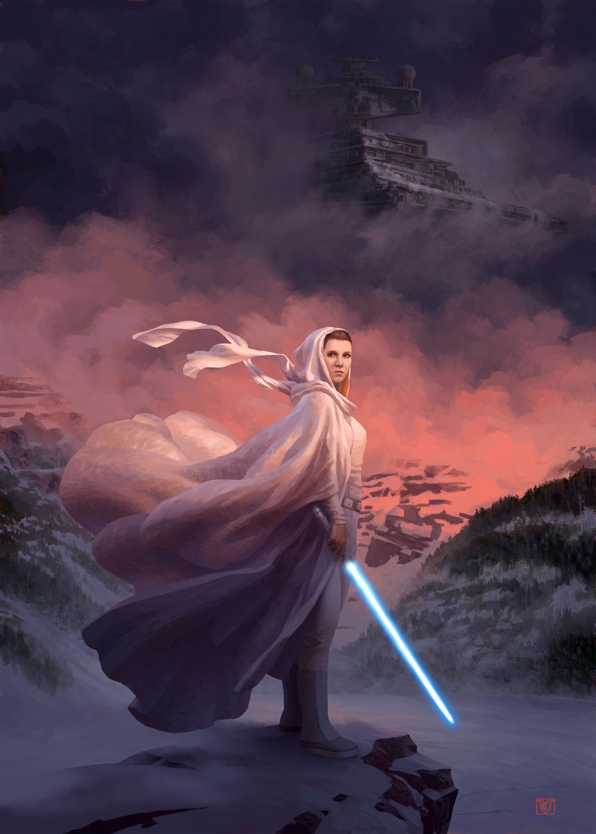 Star Wars Leia (Until Our Last Breath) by Christophe Vacher